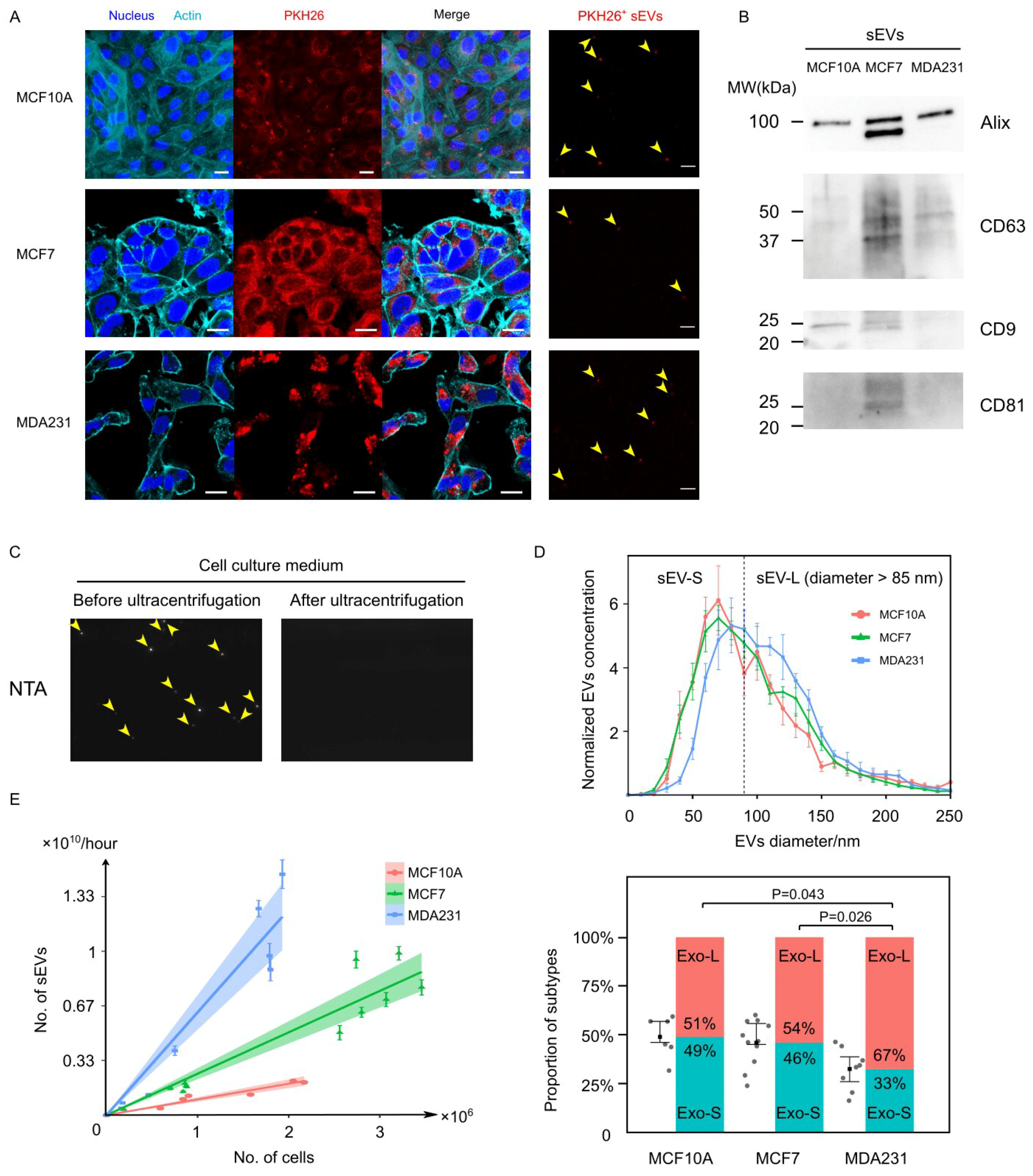 Cancers 13 02009 g001