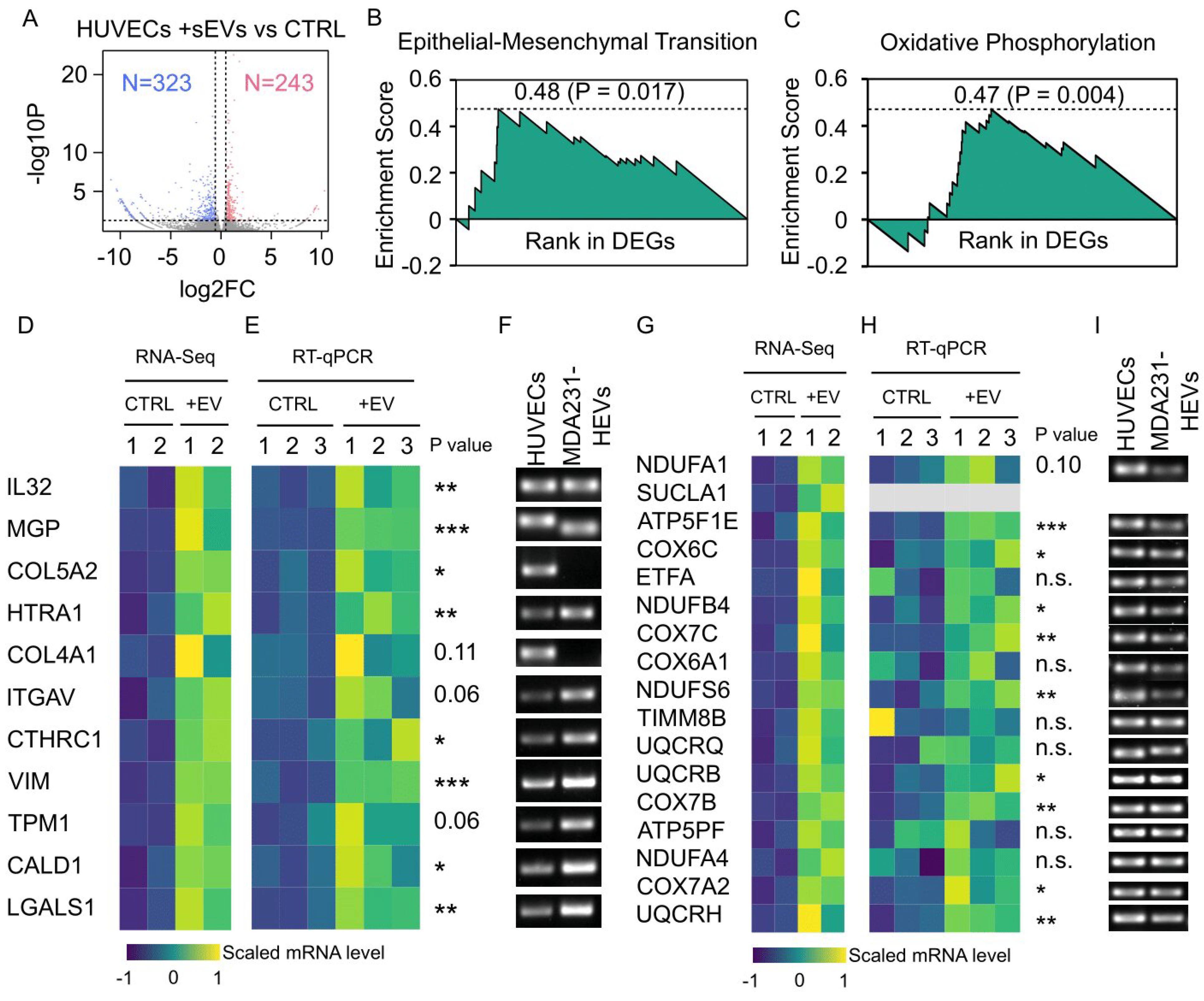 Cancers 13 02009 g006