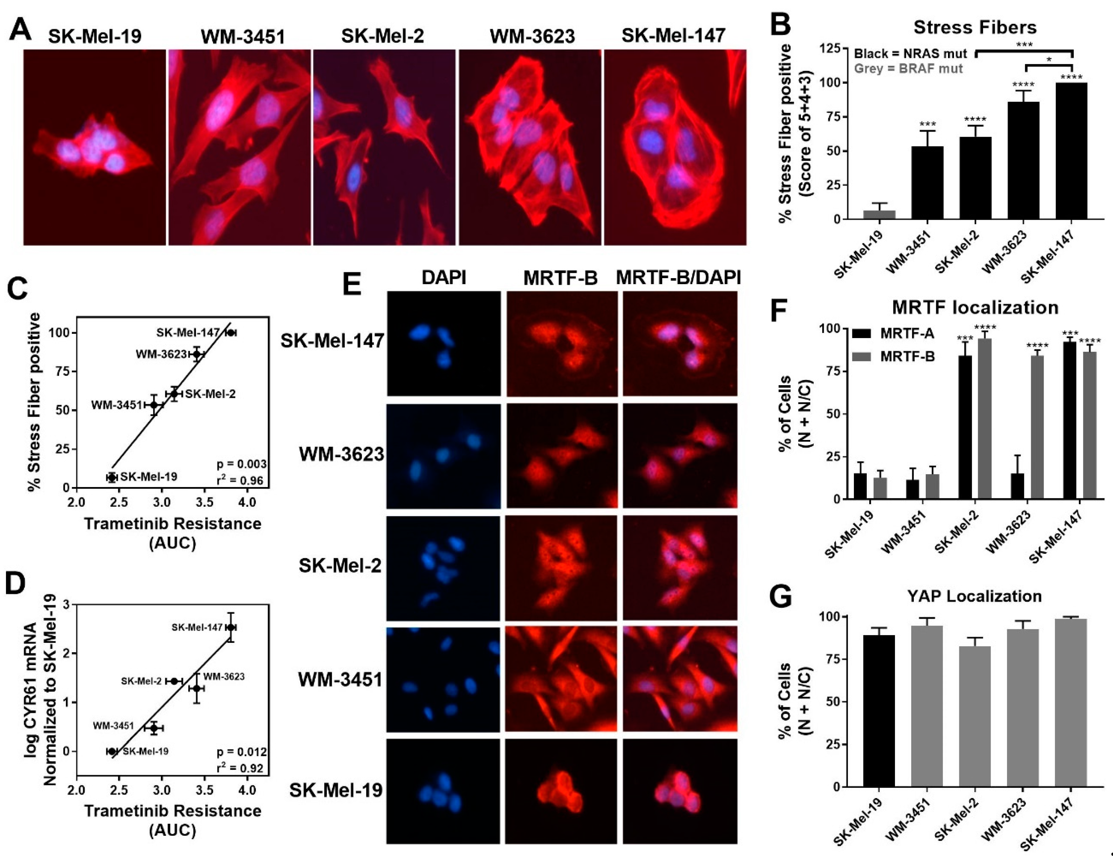 Cancers 13 02012 g002