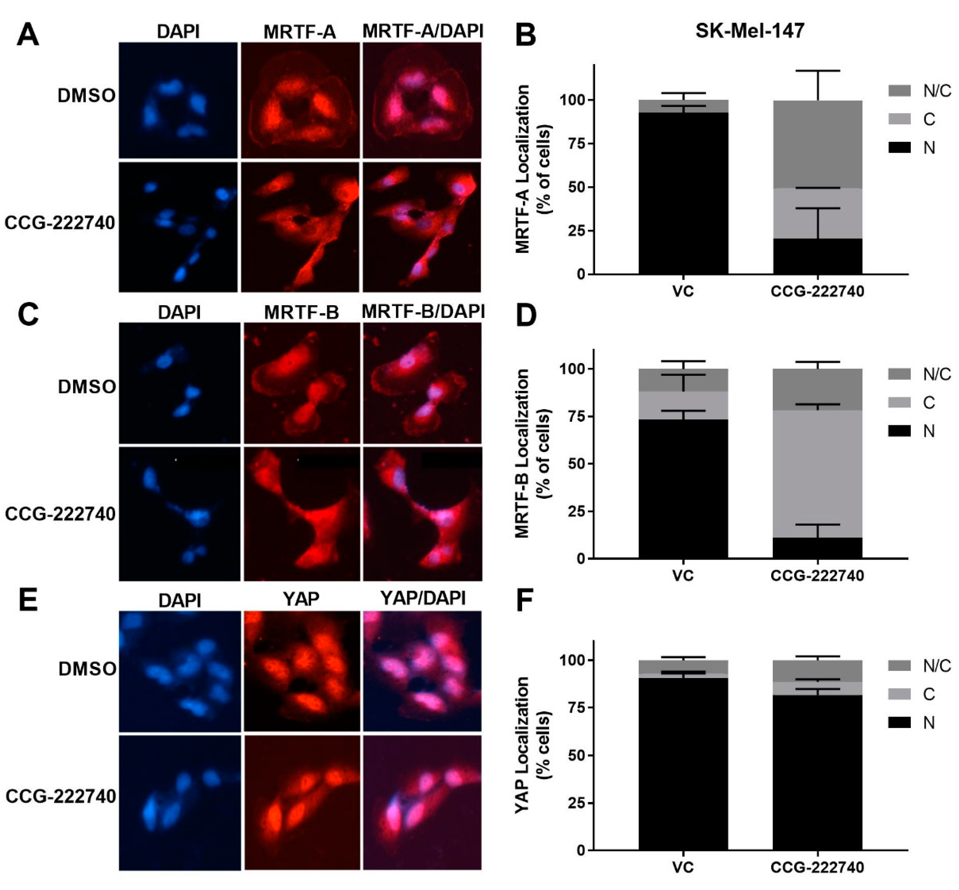 Cancers 13 02012 g004