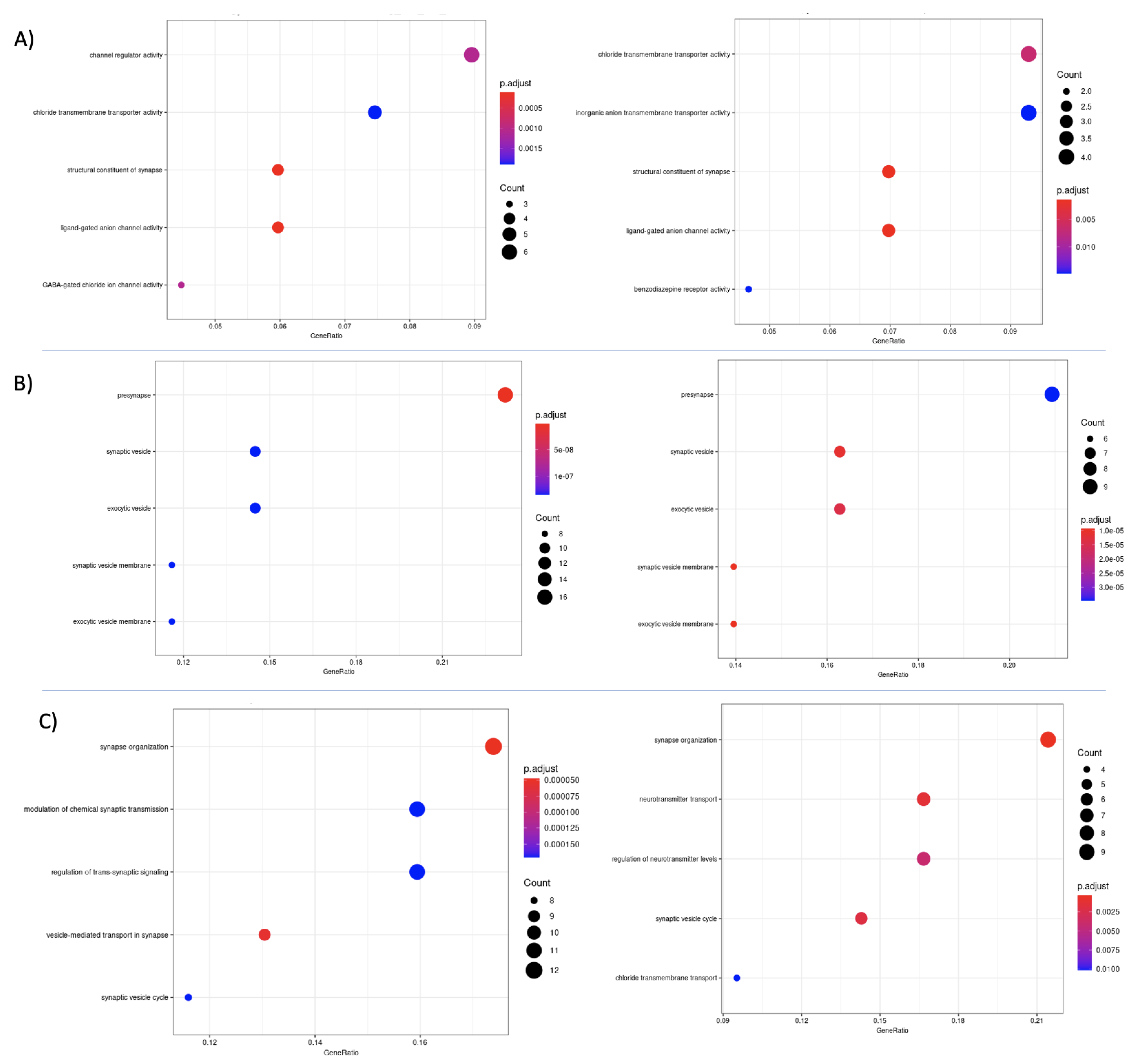 Cancers 13 02013 g007