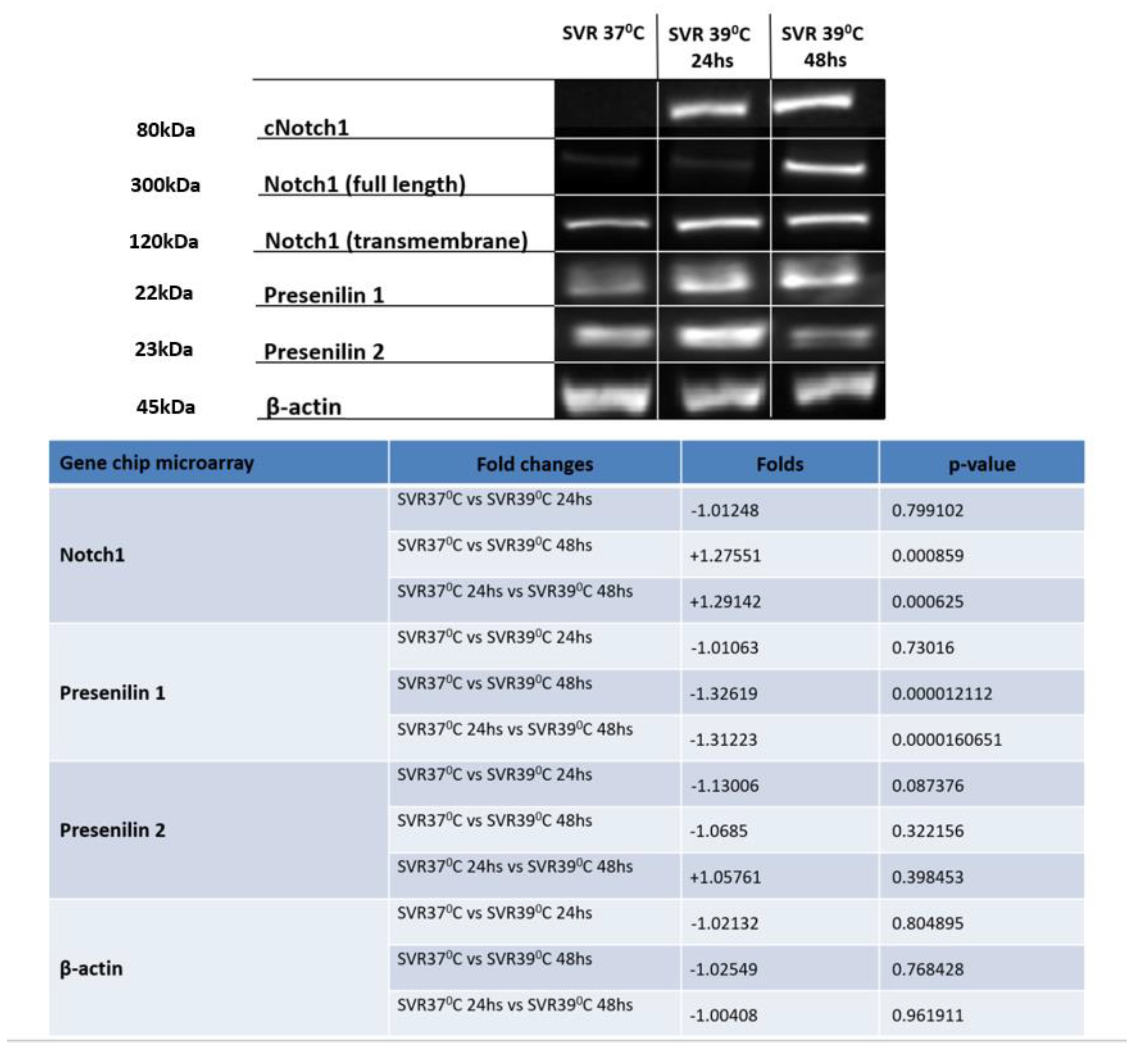 Cancers 13 02015 g002