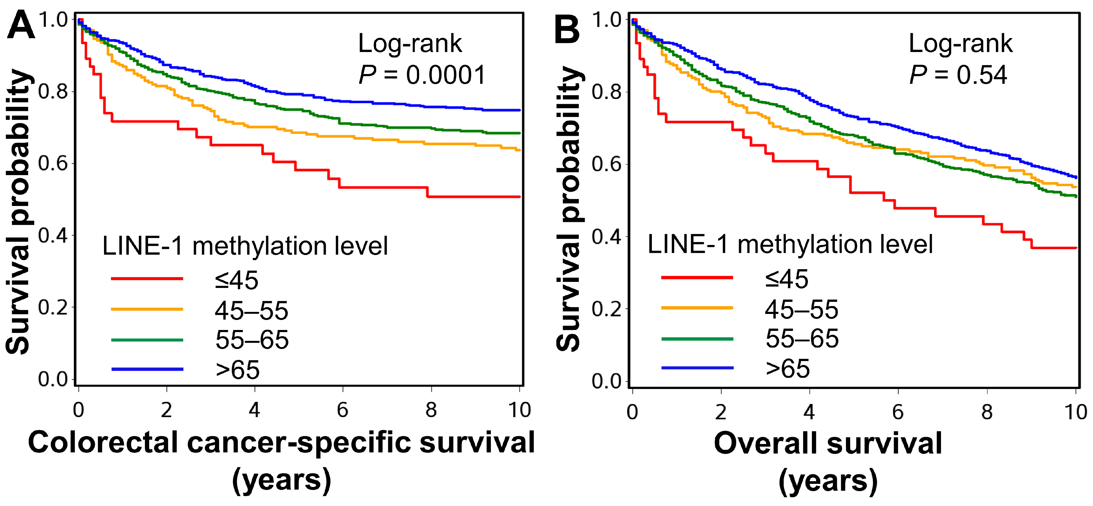 Cancers 13 02016 g005 Cancers 13 02016 g005