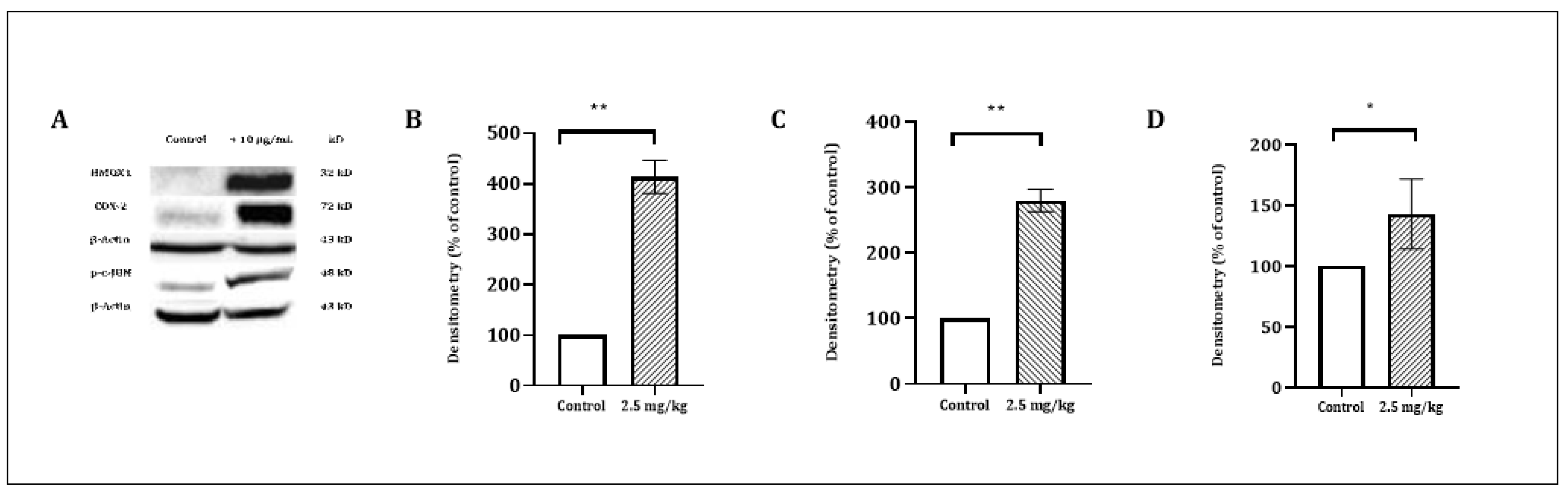 Cancers 13 02017 g005