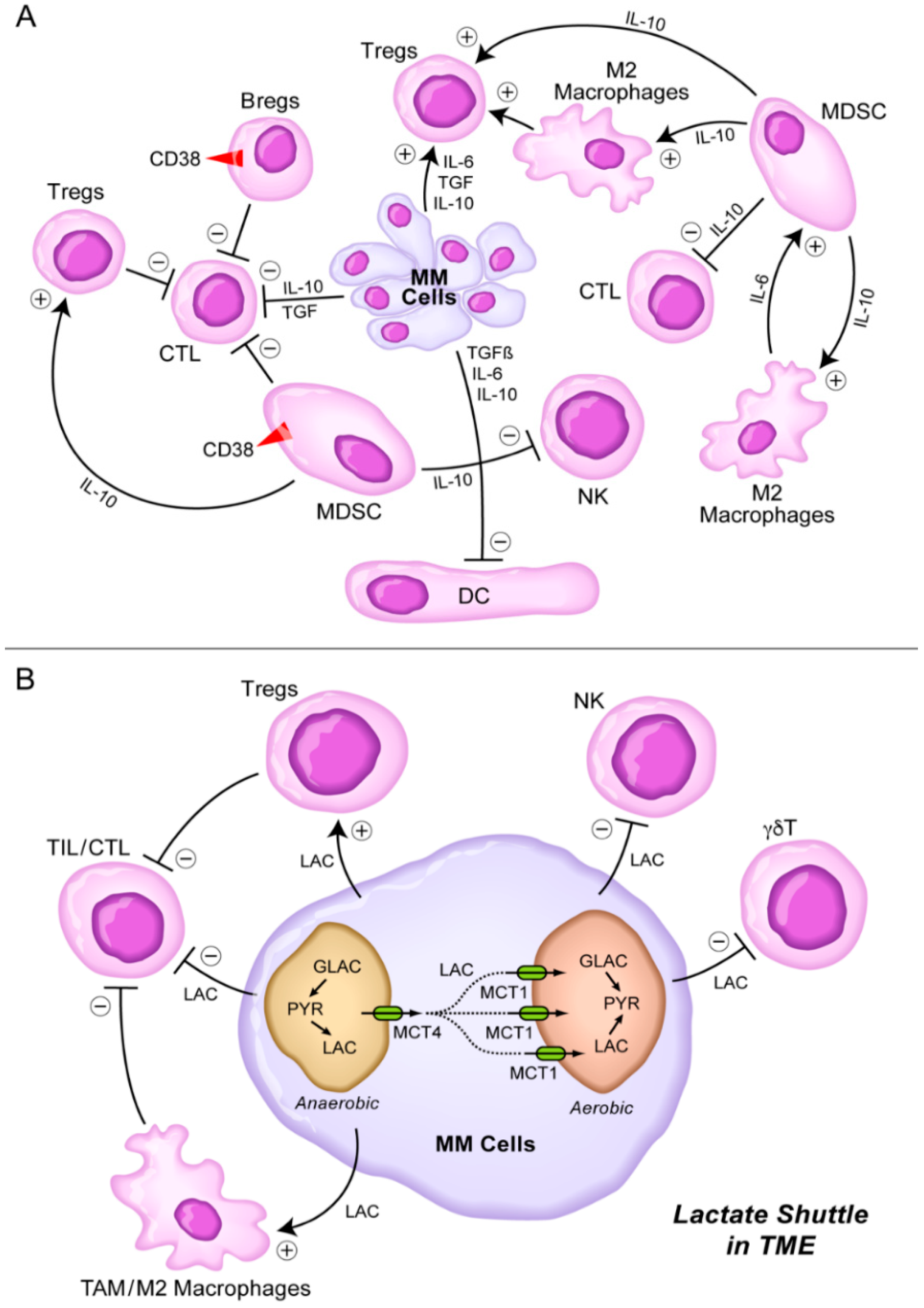 Cancers 13 02018 g001 Cancers 13 02018 g001