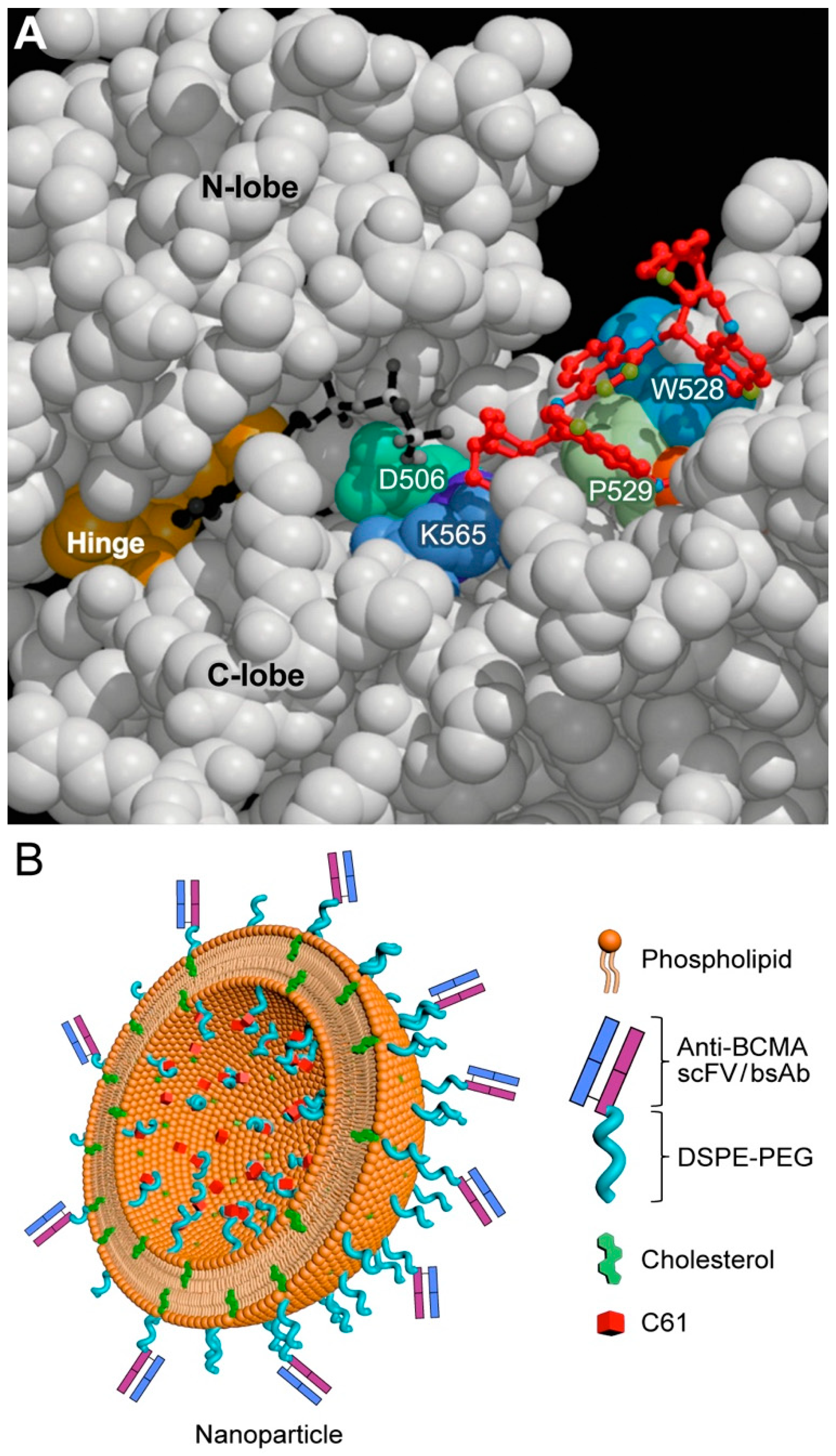 Cancers 13 02018 g004 Cancers 13 02018 g004