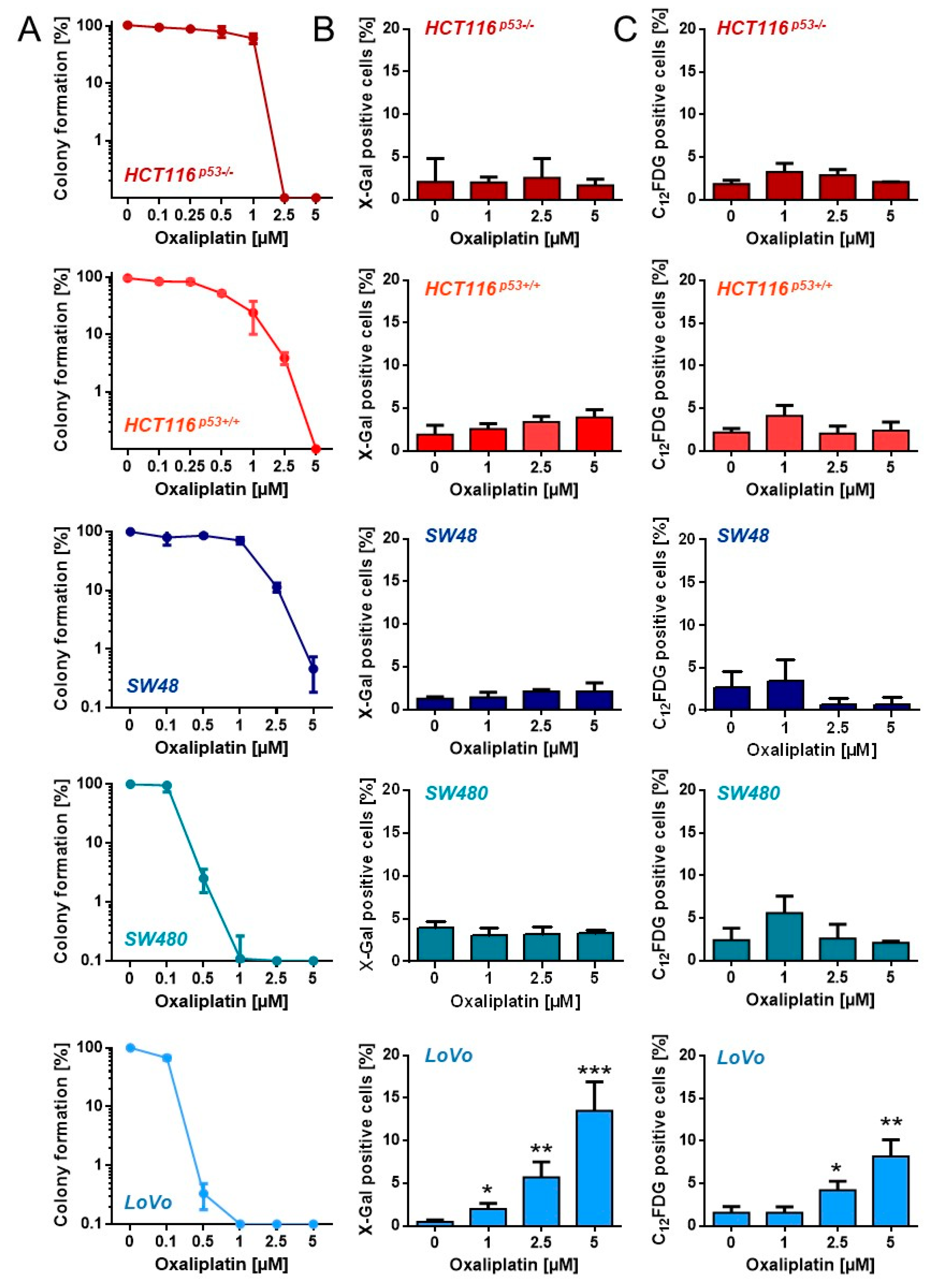 Cancers 13 02019 g002