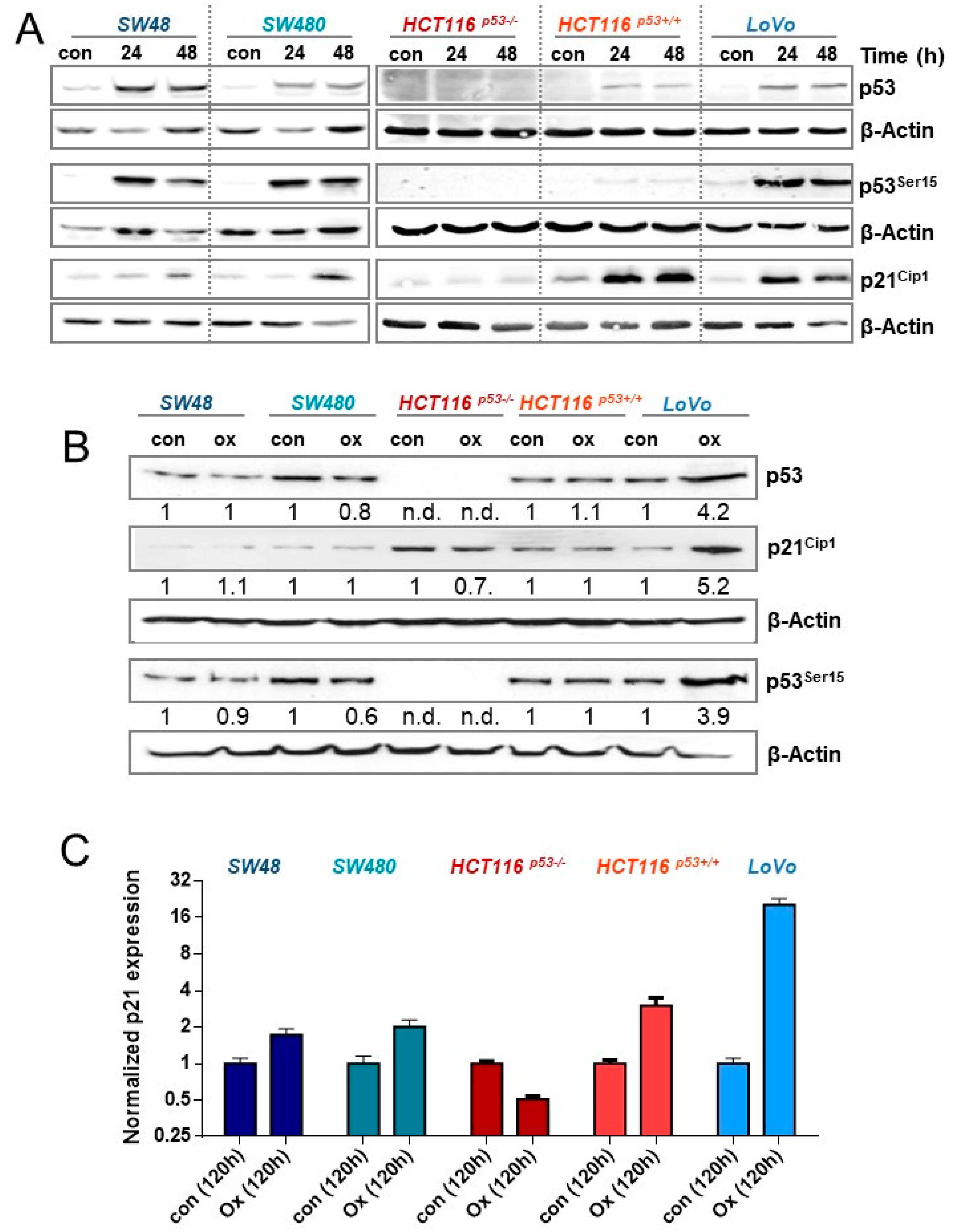 Cancers 13 02019 g005