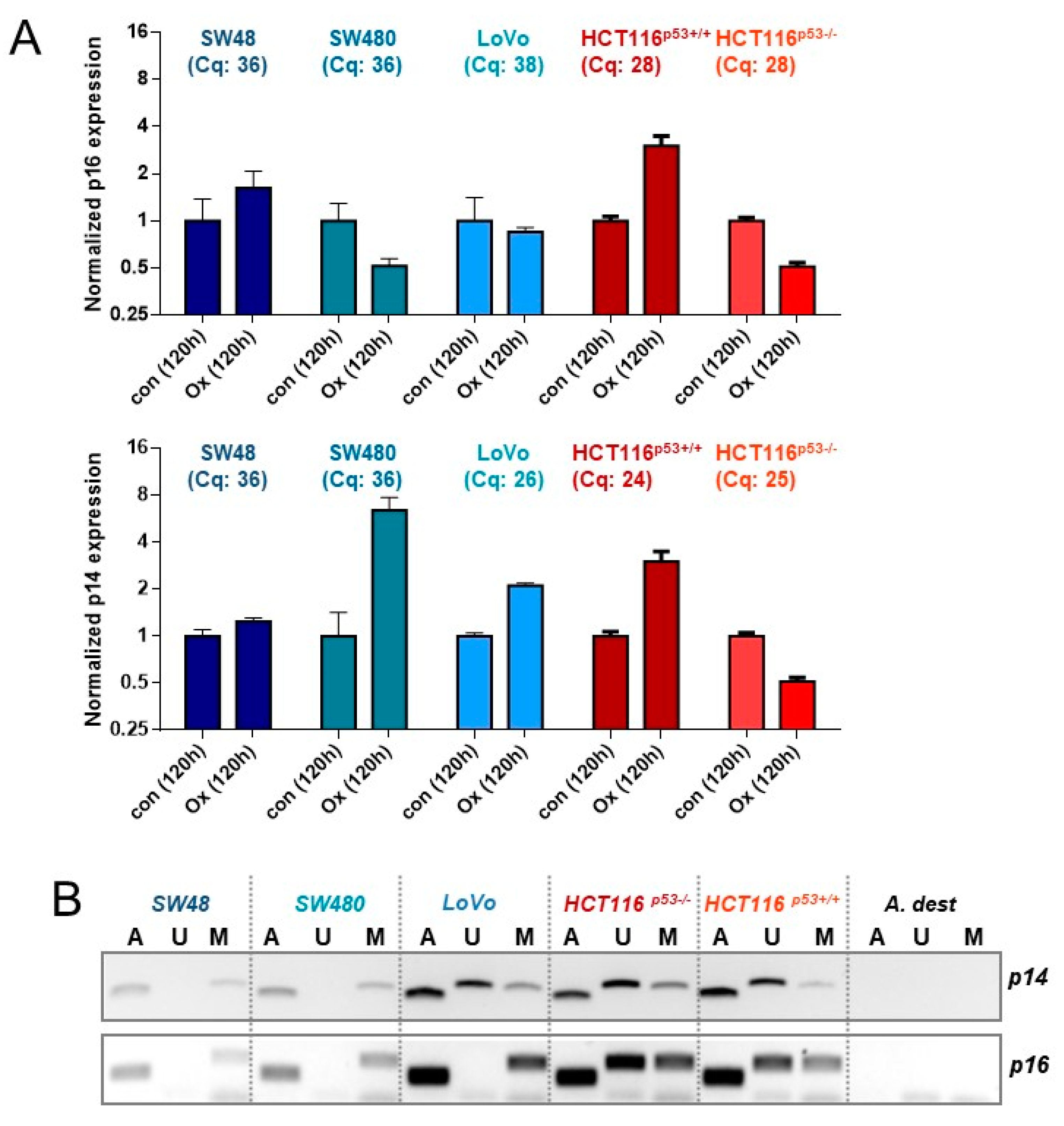 Cancers 13 02019 g006a