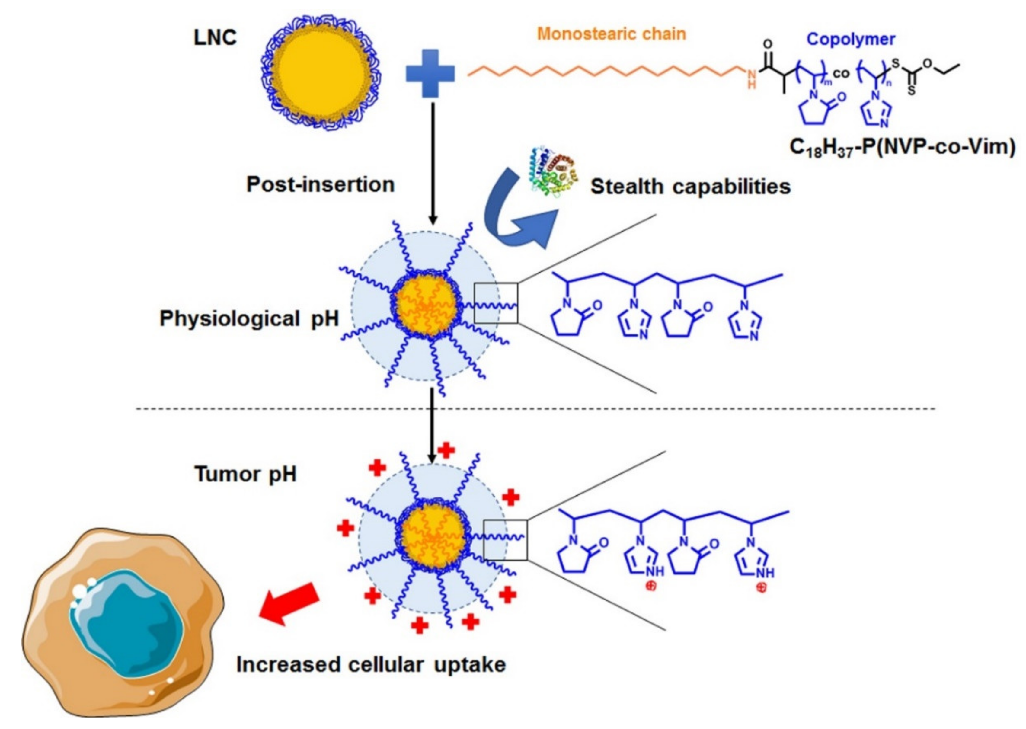 Cancers 13 02028 g001