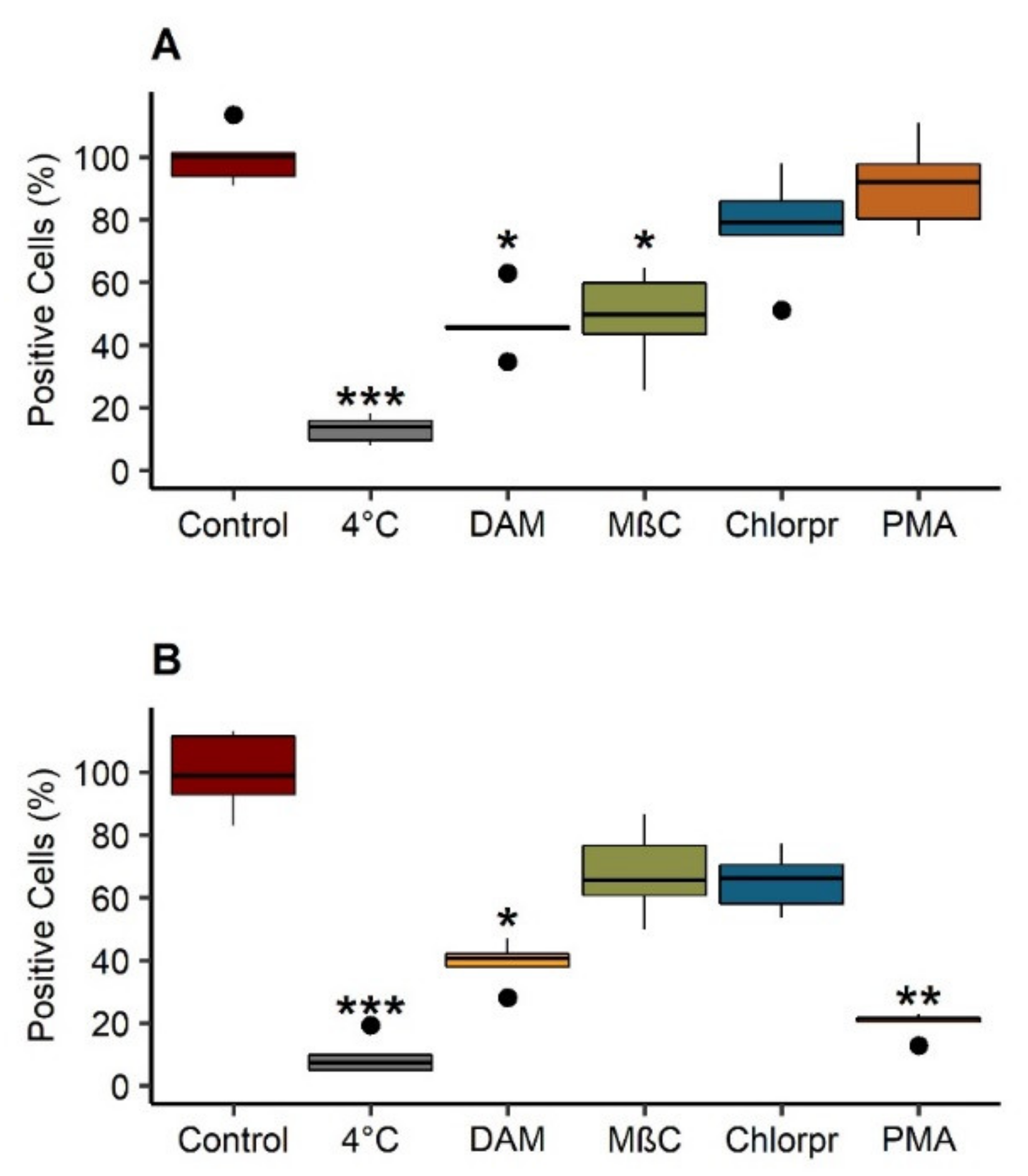 Cancers 13 02028 g007