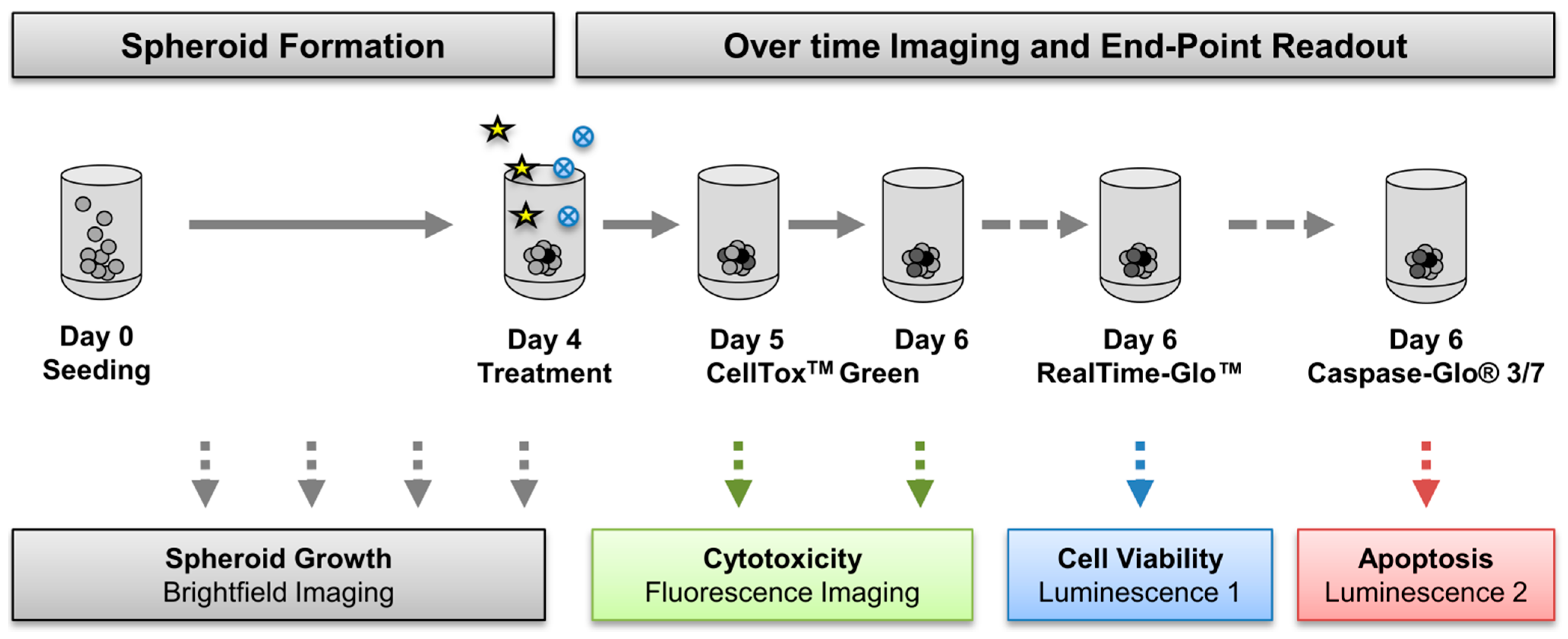 Cancers 13 02039 g003 Cancers 13 02039 g003