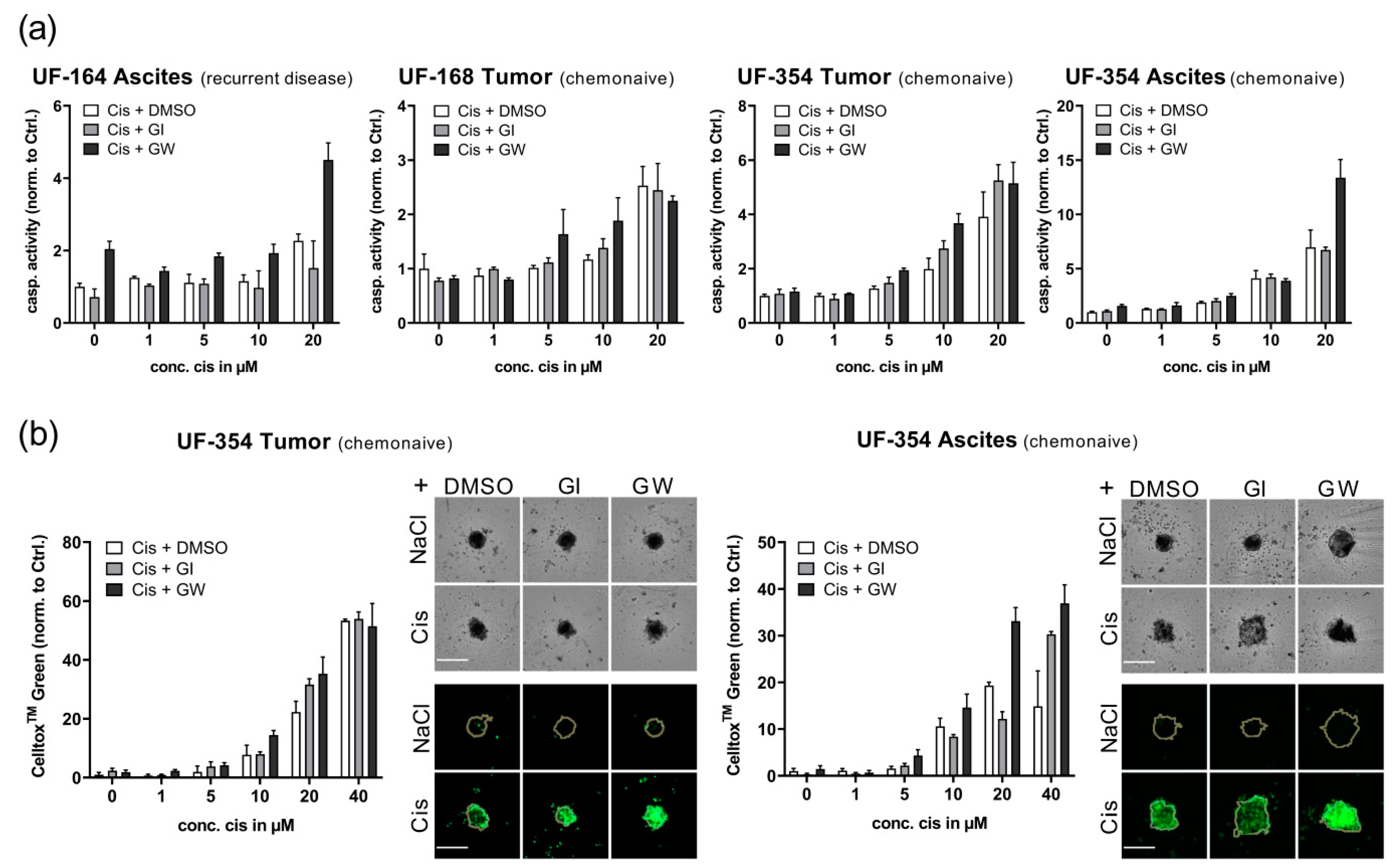 Cancers 13 02039 g006 Cancers 13 02039 g006