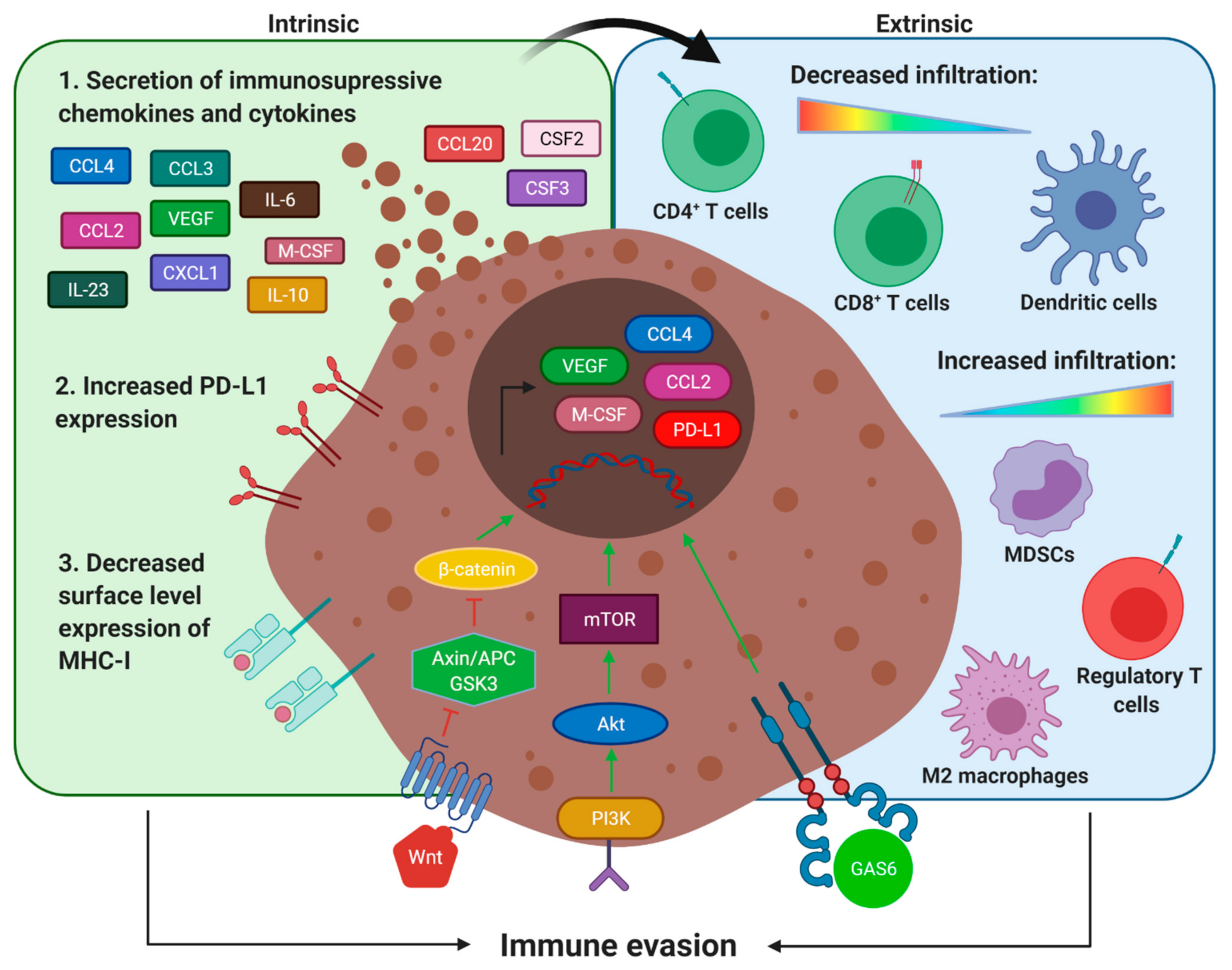 Cancers 13 02040 g001