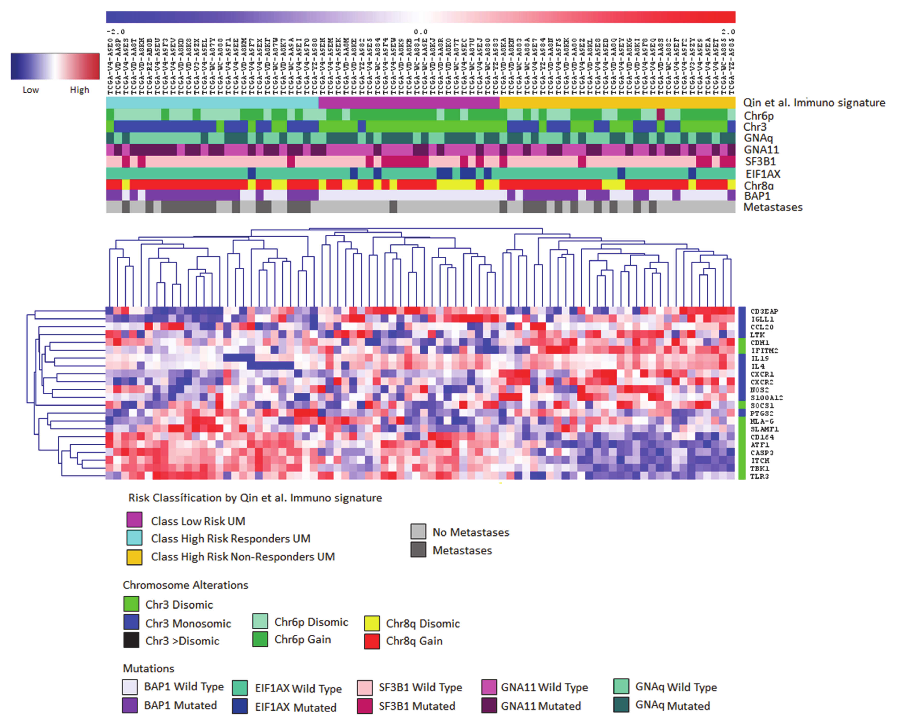 Cancers 13 02043 g001