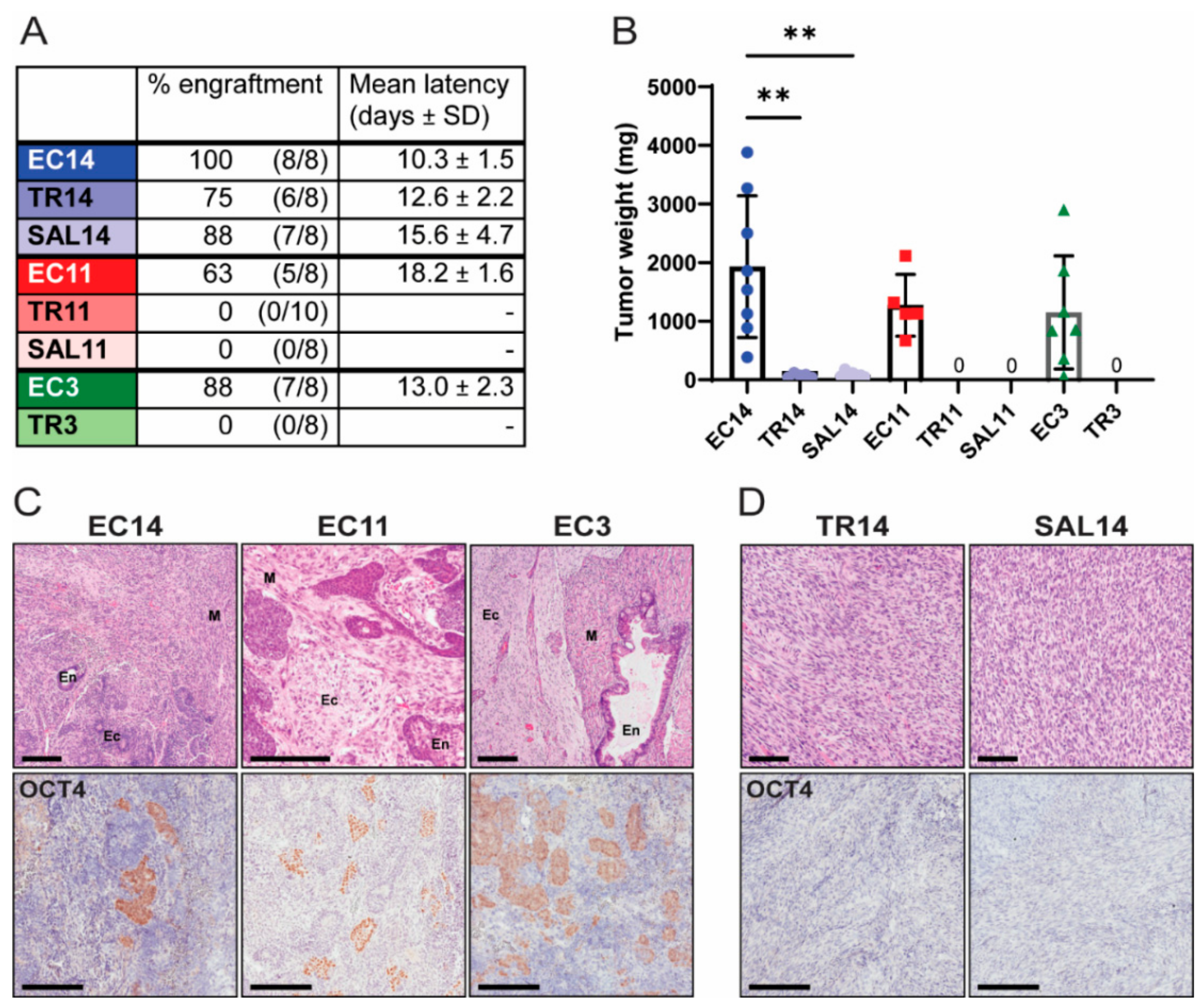 Cancers 13 02045 g004