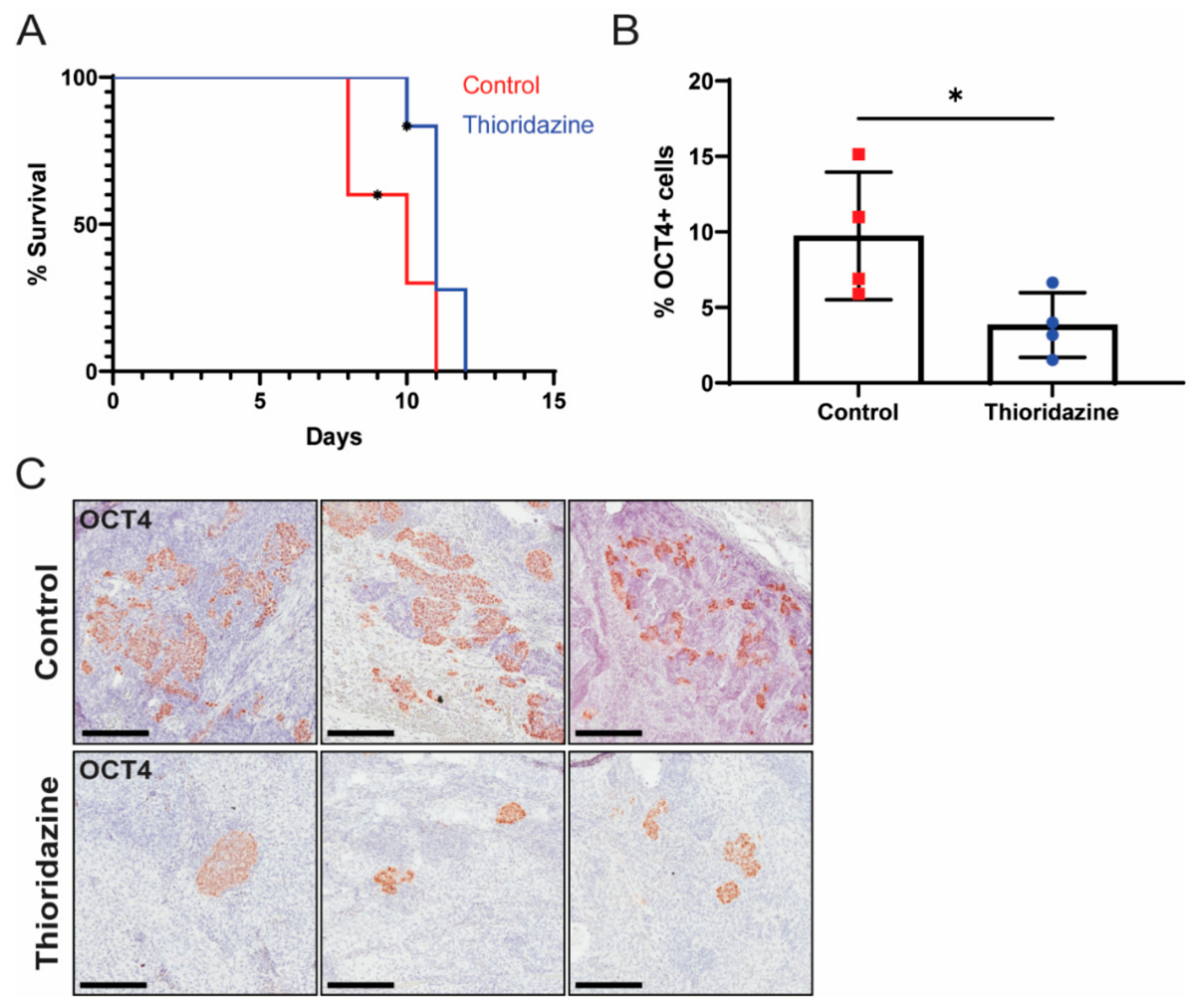 Cancers 13 02045 g005