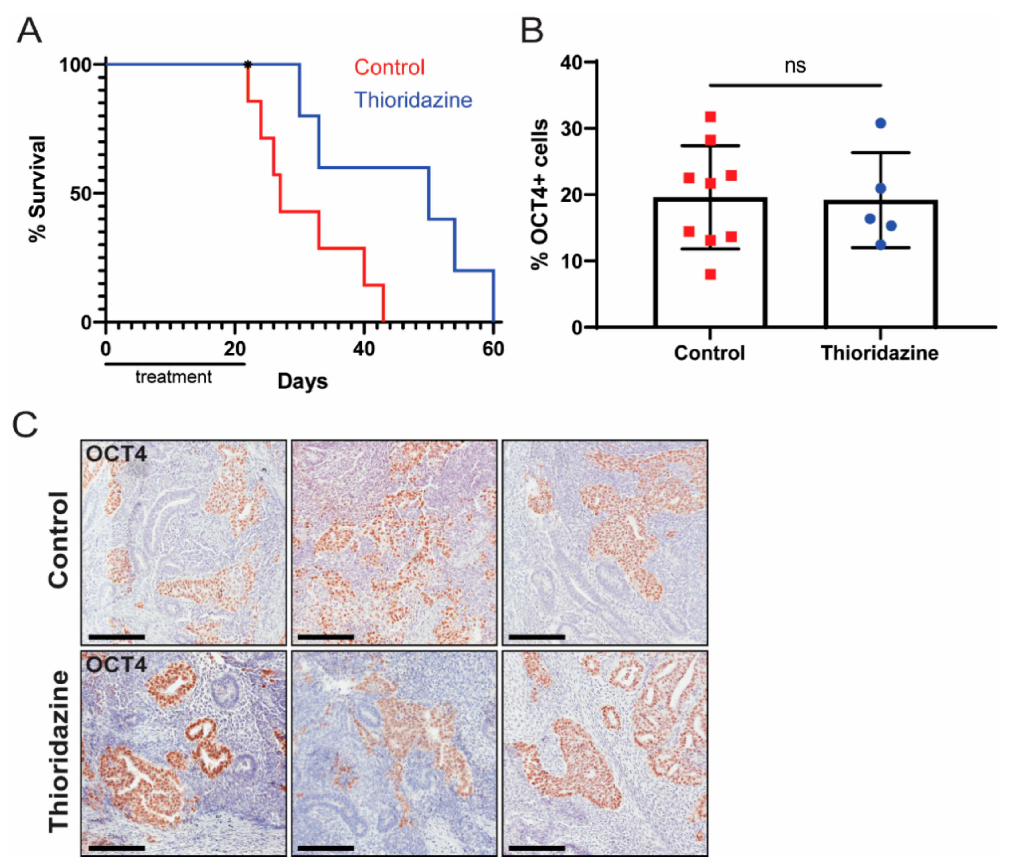 Cancers 13 02045 g006