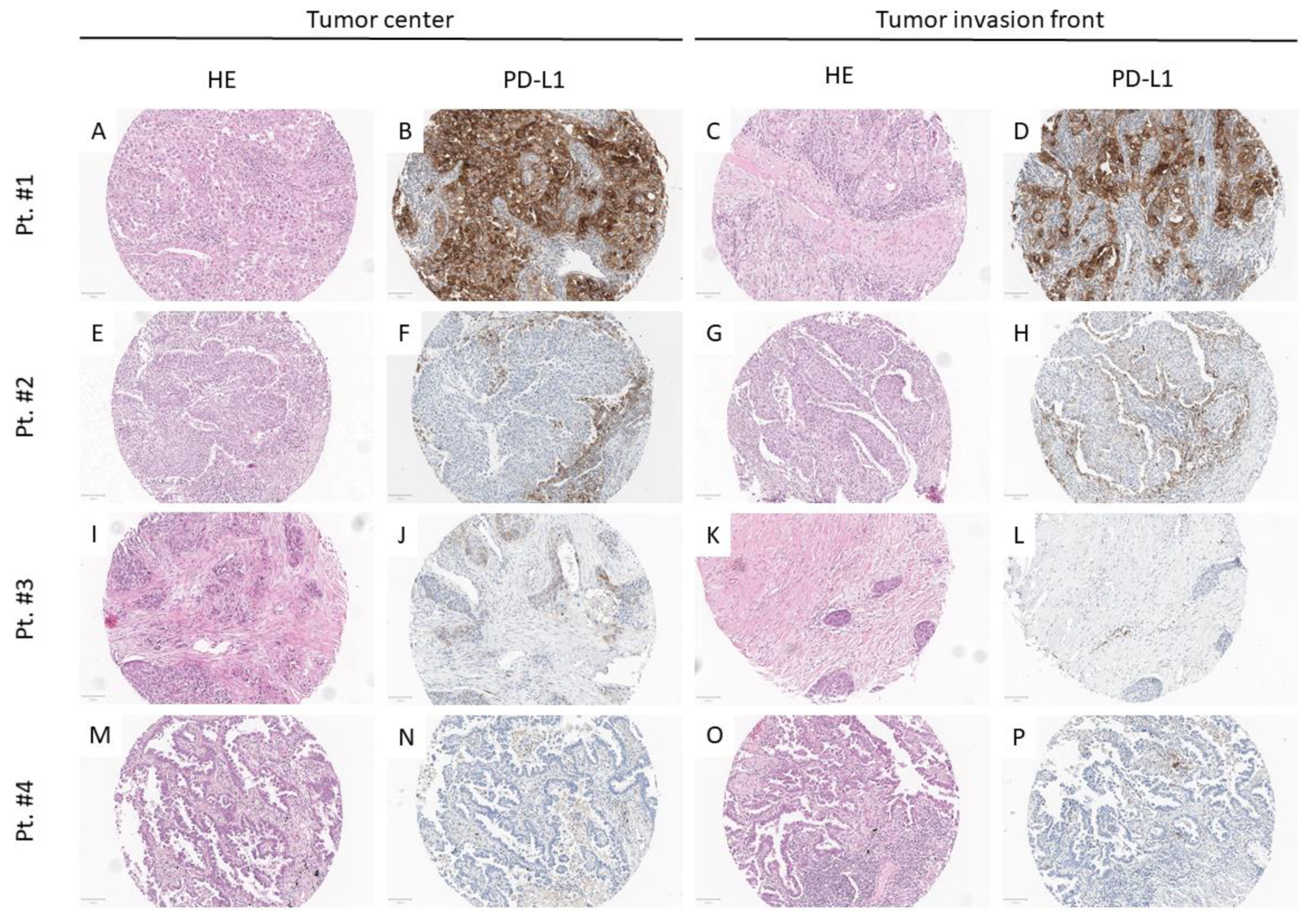 Cancers 13 02046 g001