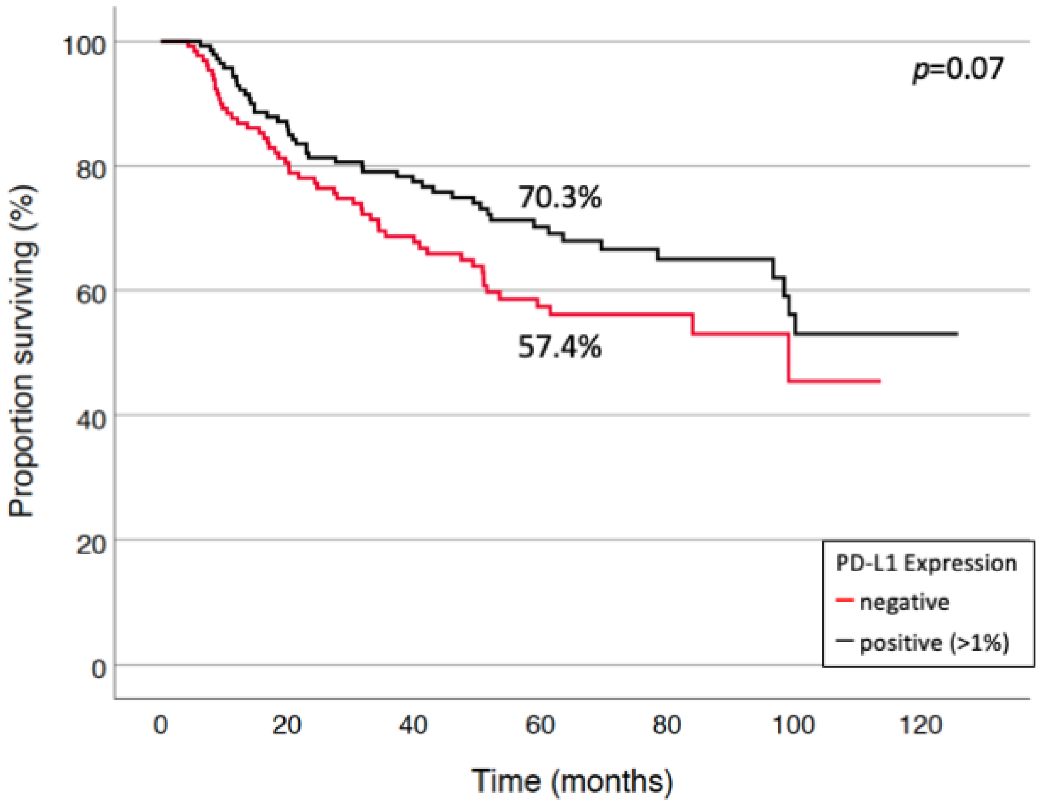 Cancers 13 02046 g002
