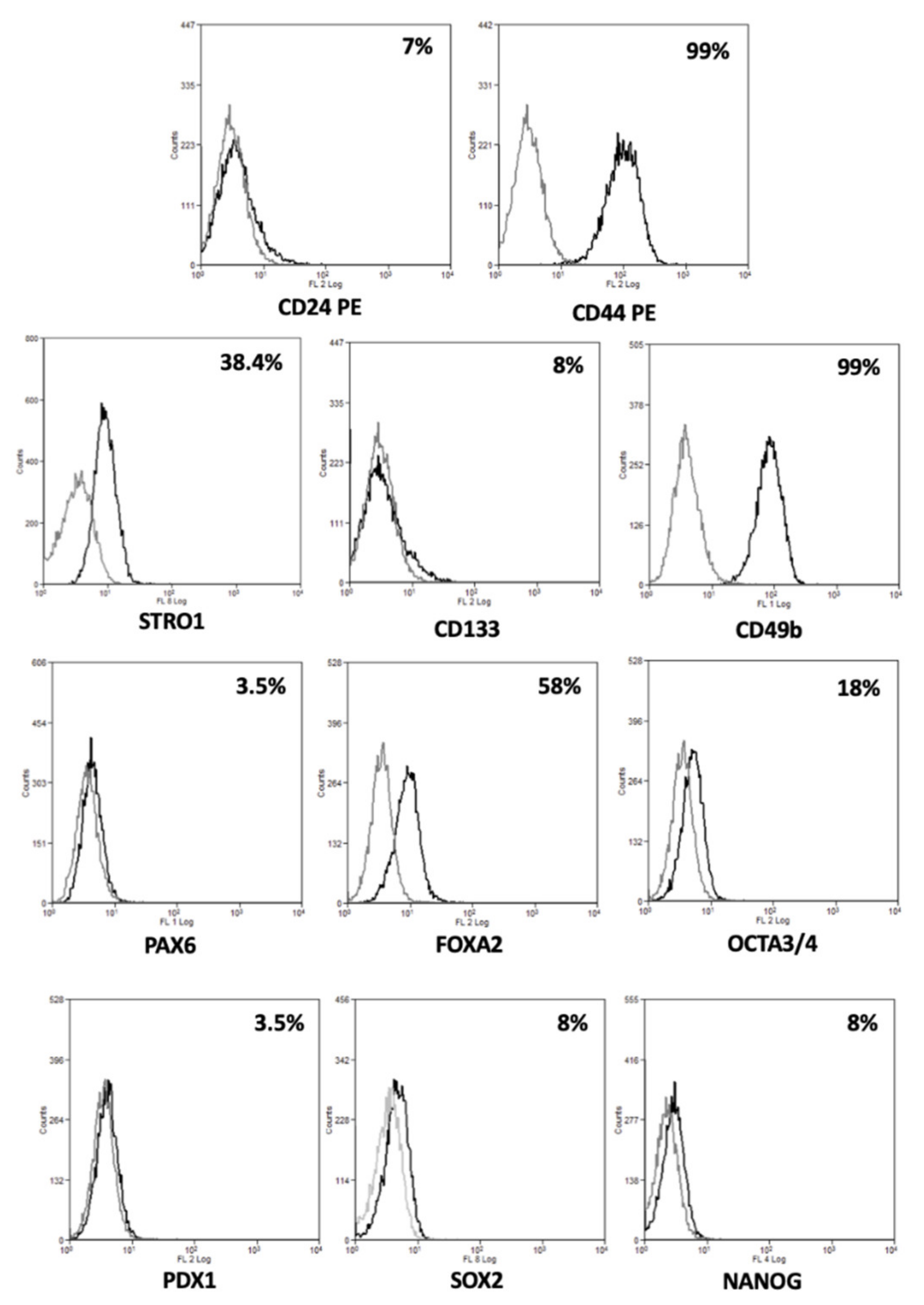 Cancers 13 02051 g004