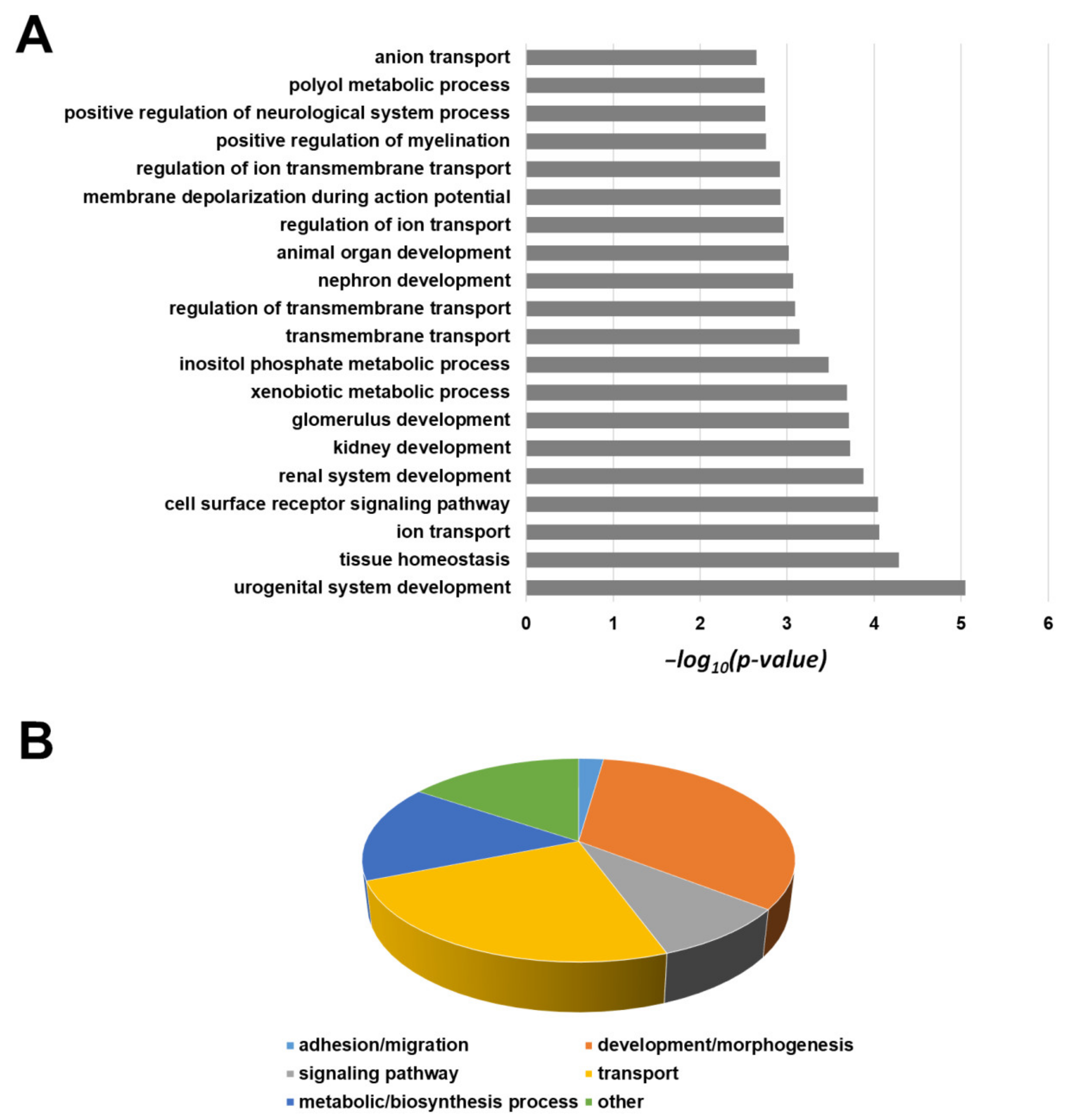 Cancers 13 02051 g012