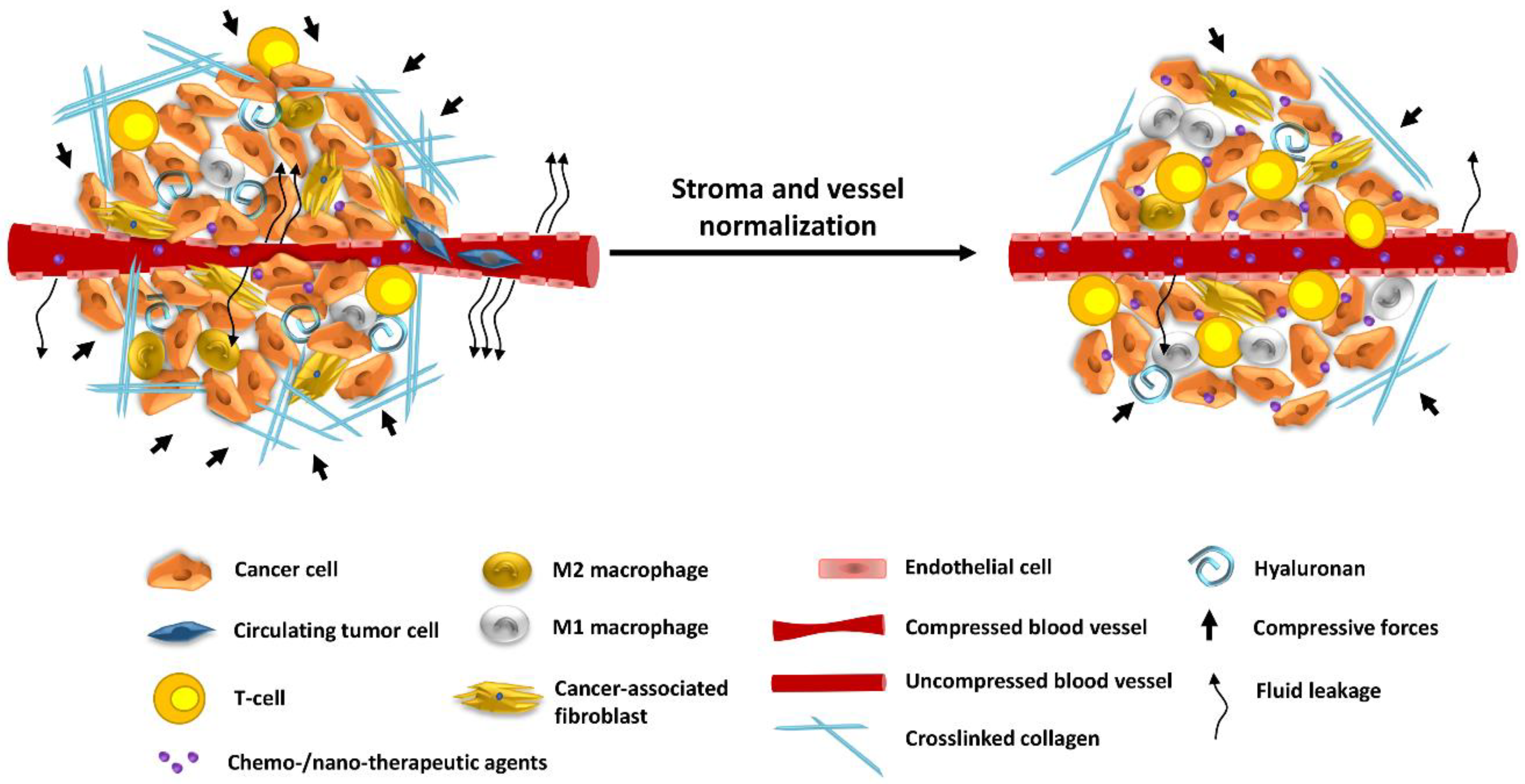Cancers 13 02053 g002