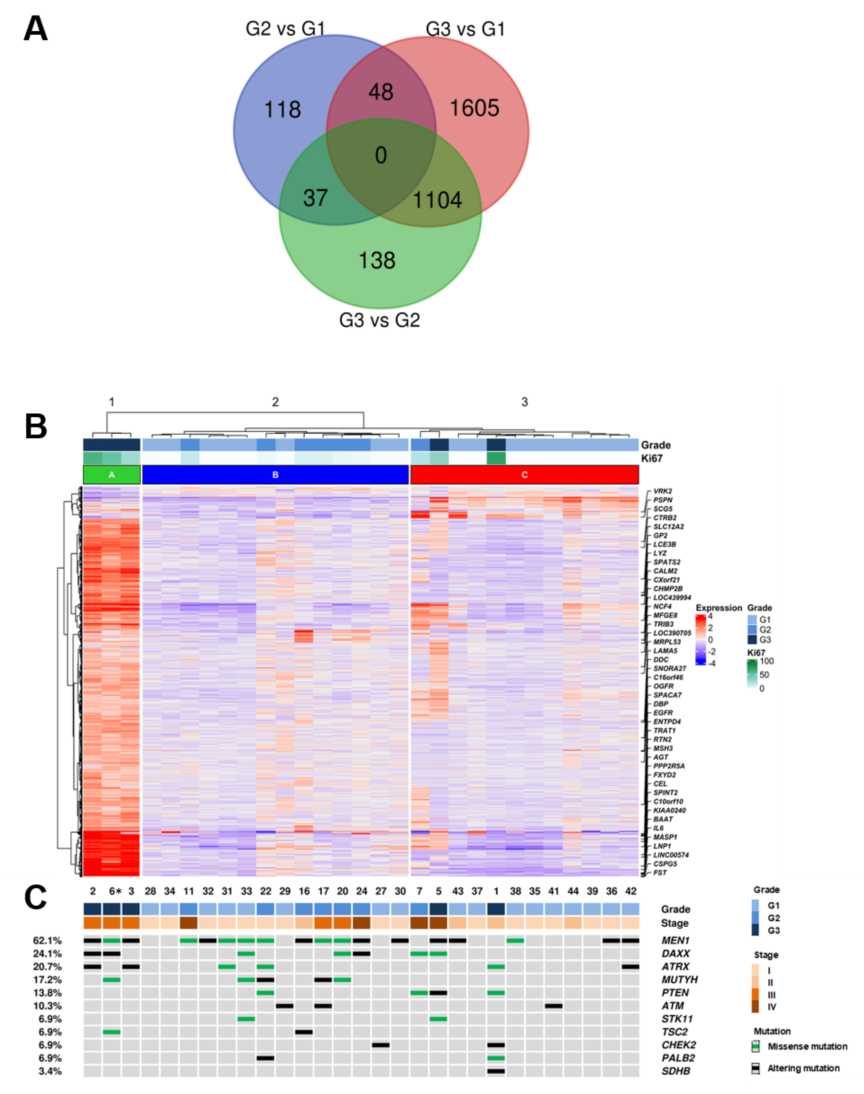 Cancers 13 02054 g001