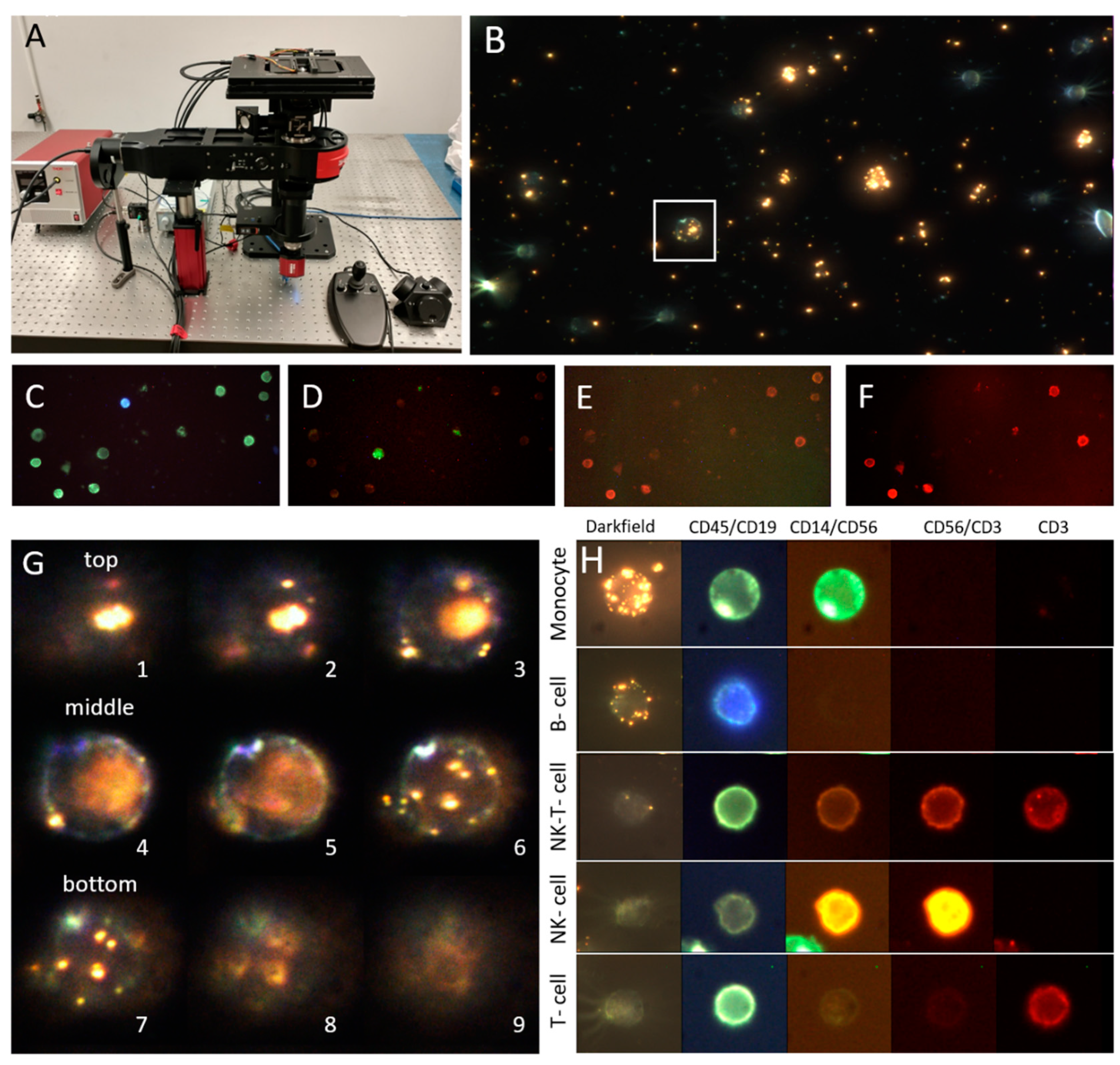 Cancers 13 02072 g001