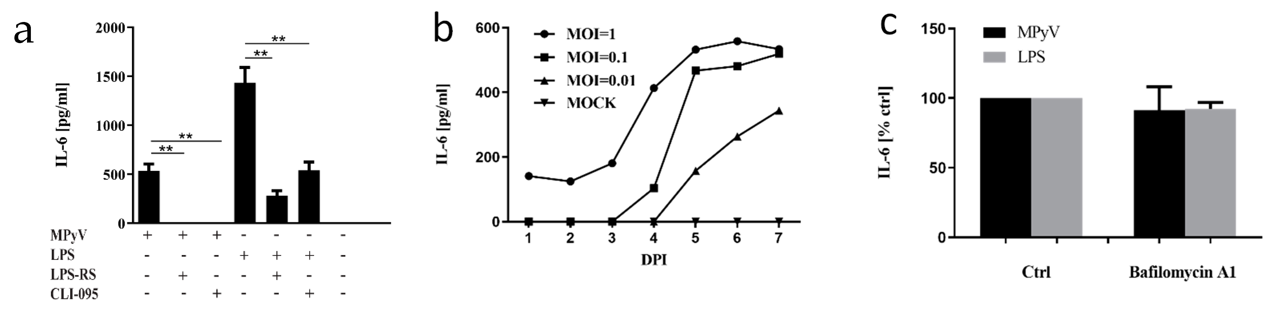 Cancers 13 02076 g001