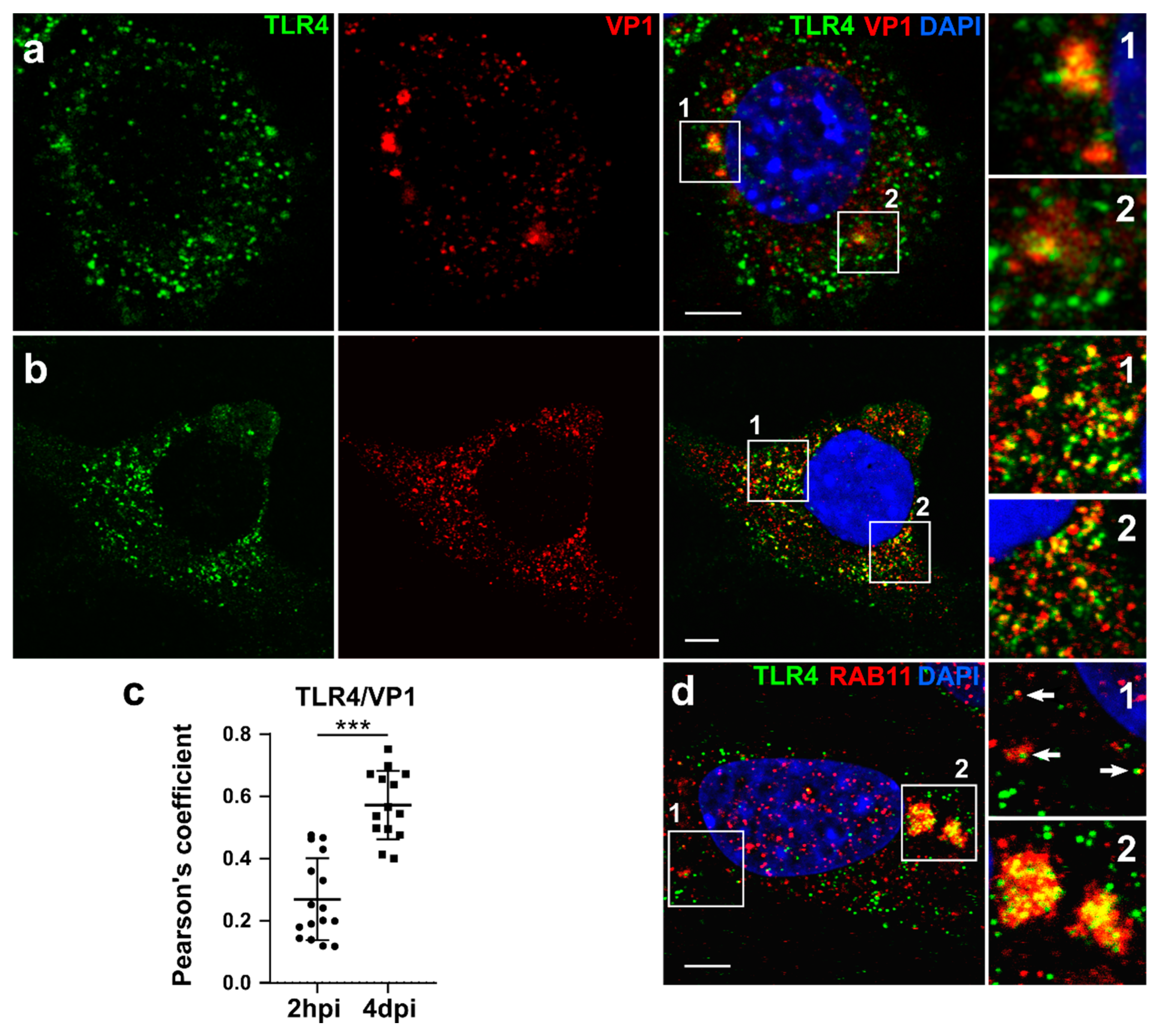 Cancers 13 02076 g002