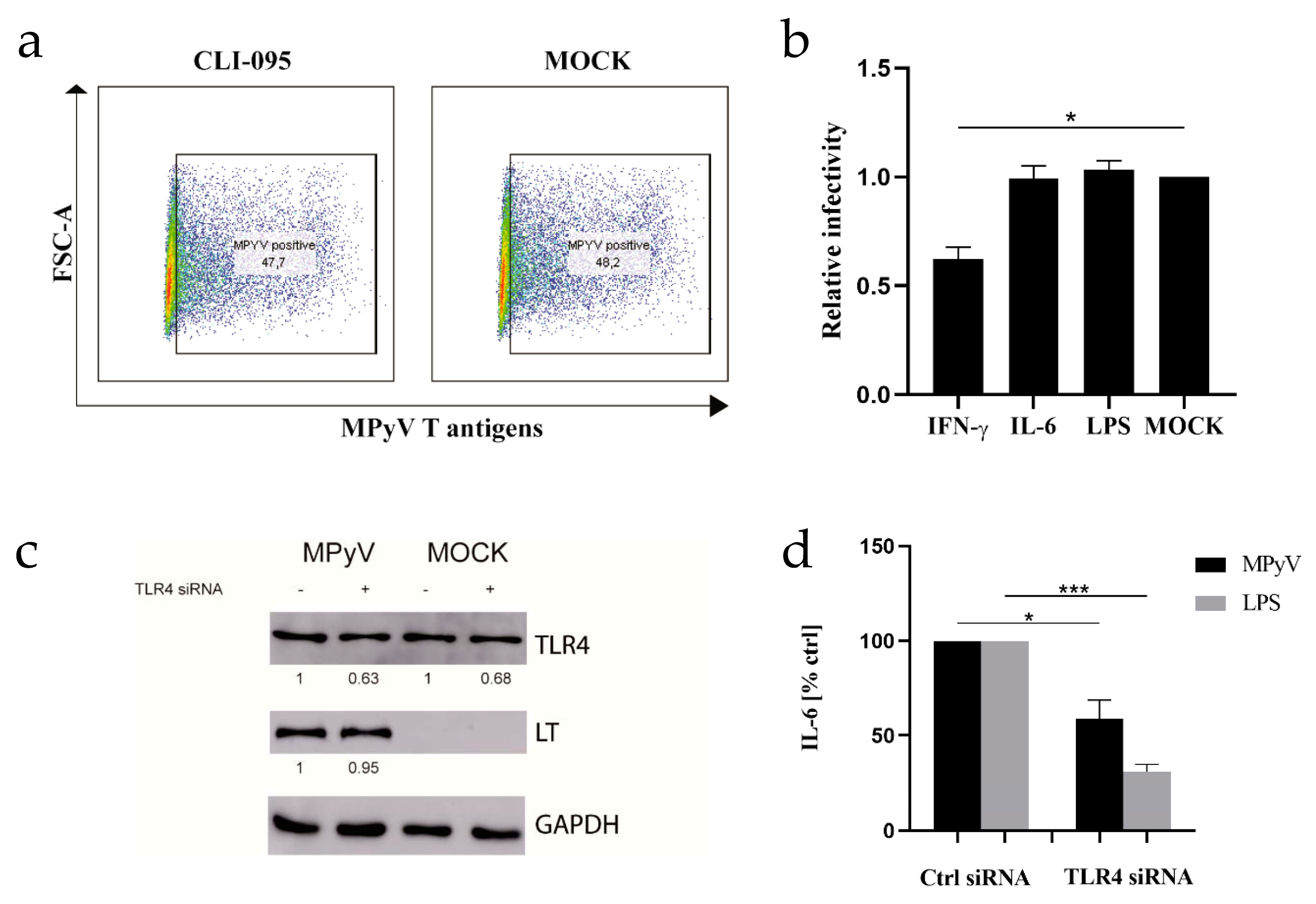 Cancers 13 02076 g003