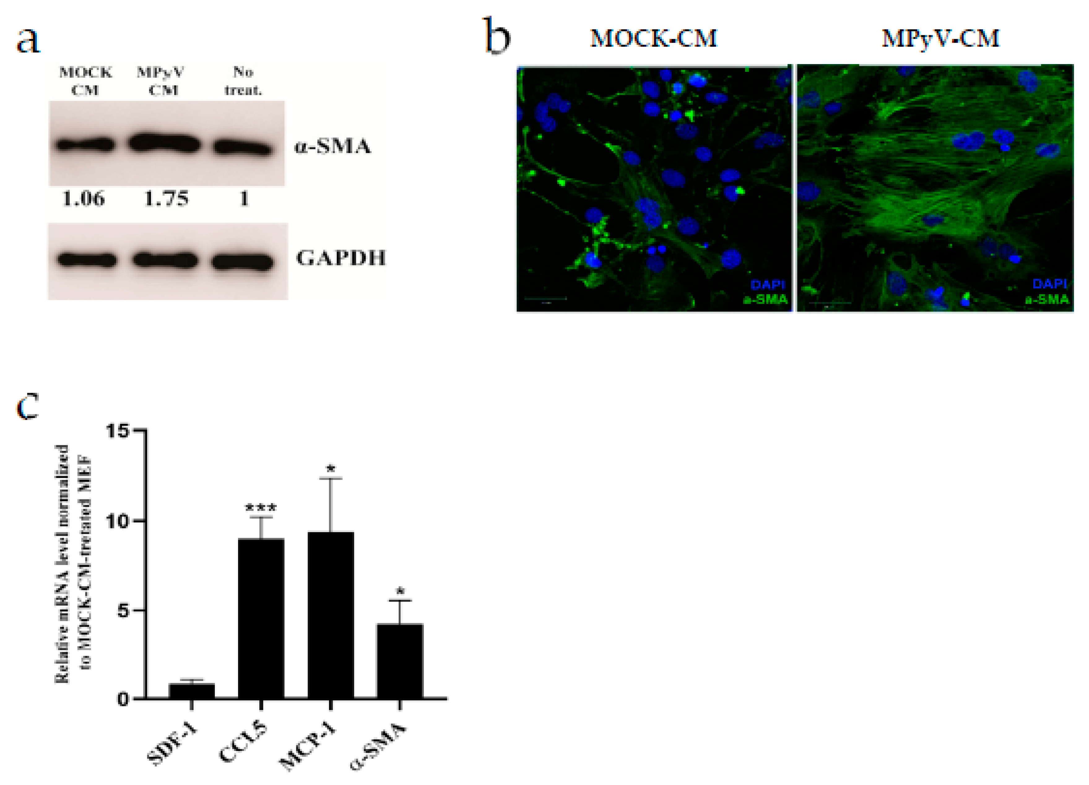 Cancers 13 02076 g005