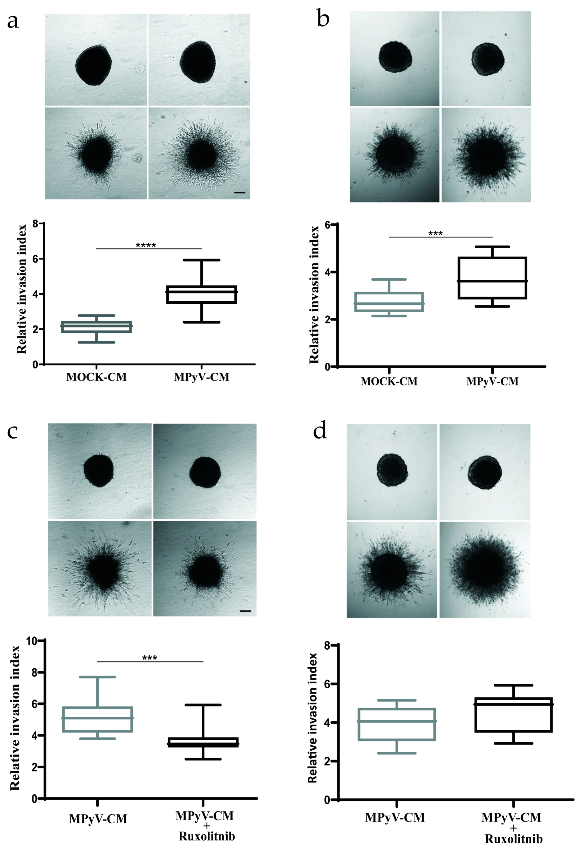 Cancers 13 02076 g006