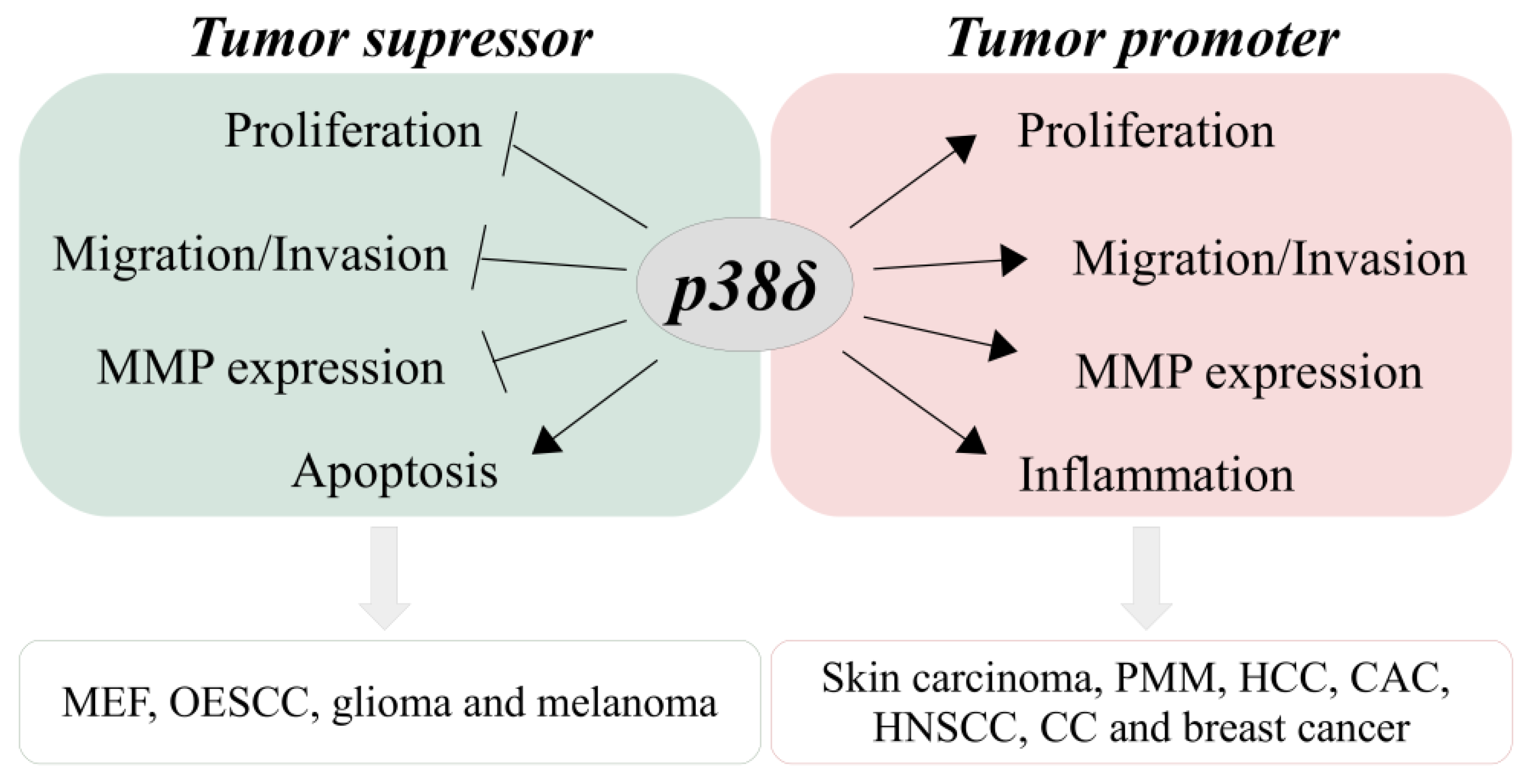 Cancers 13 02077 g001