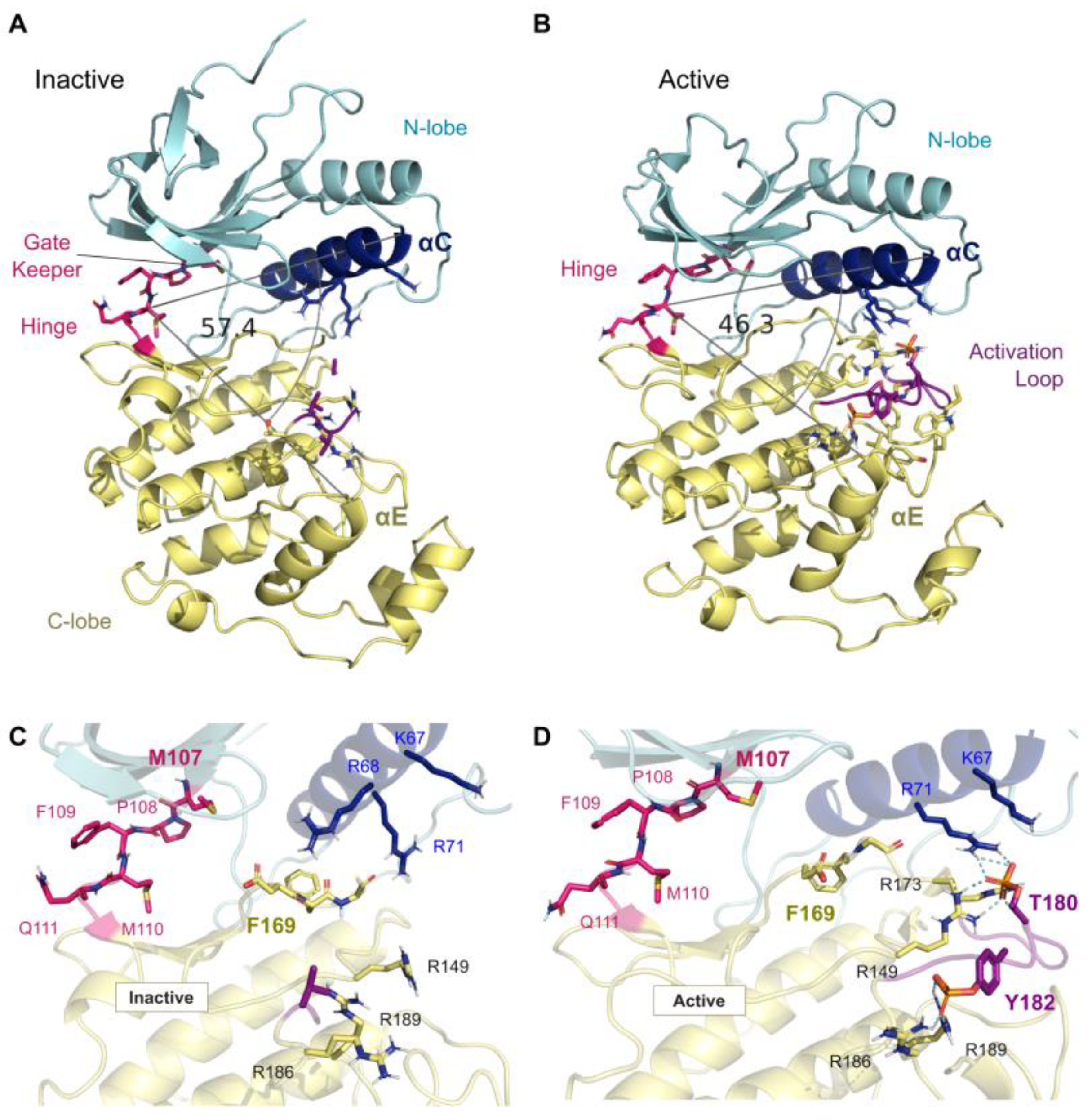 Cancers 13 02077 g002