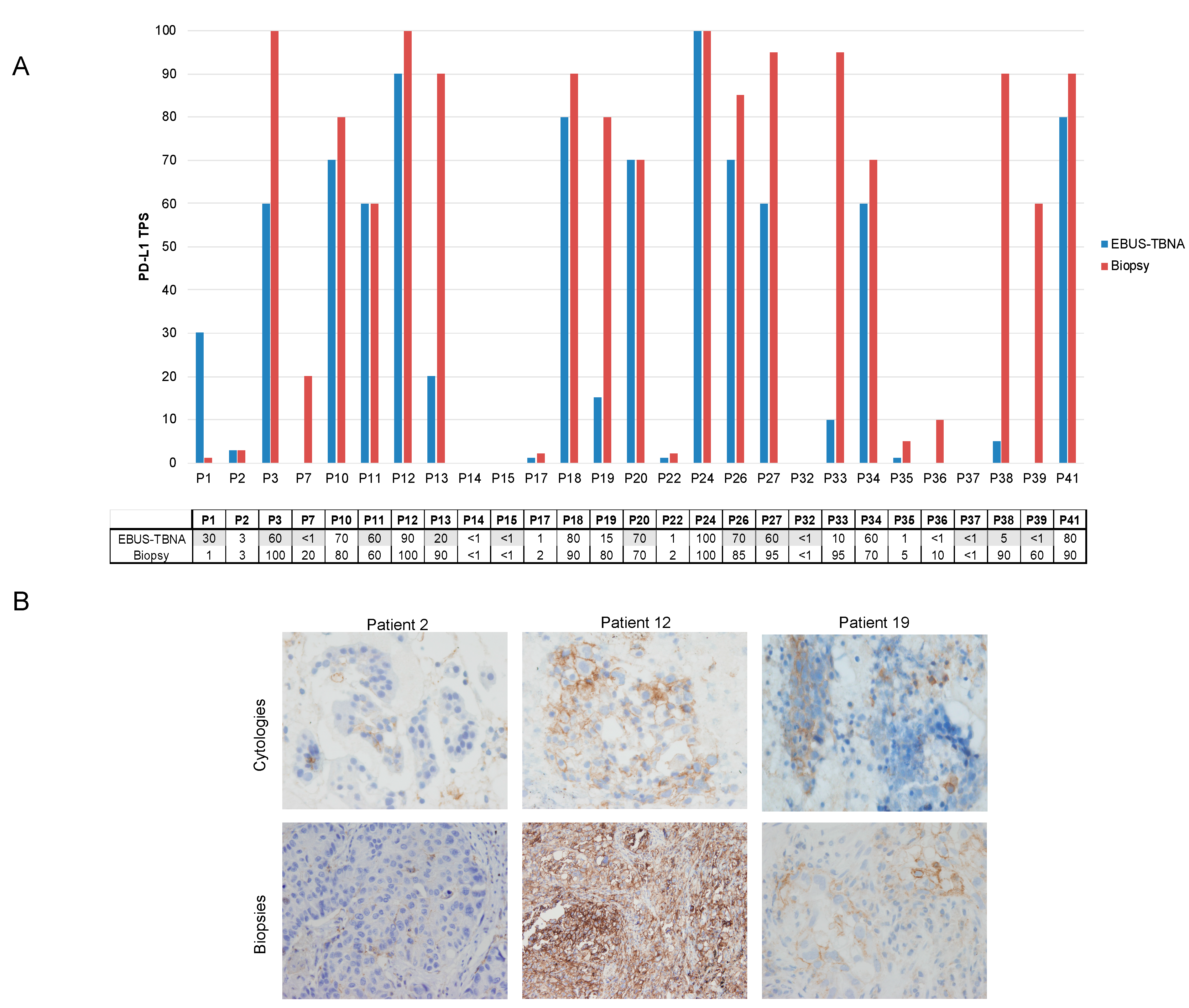 Cancers 13 02084 g003