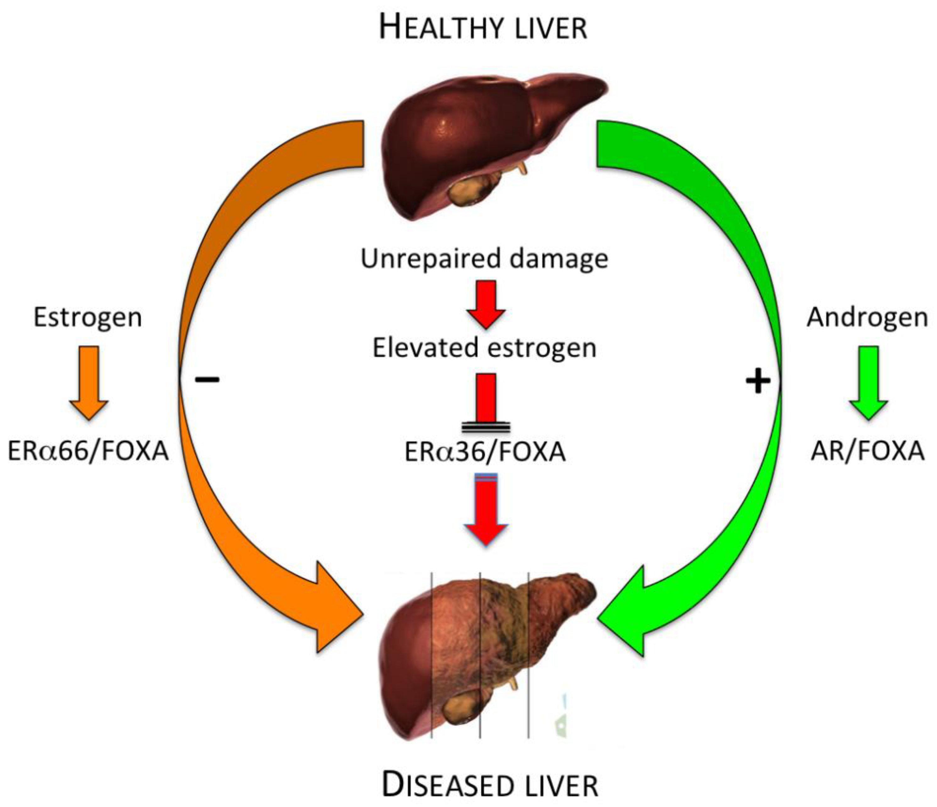 Cancers 13 02085 g008 Cancers 13 02085 g008