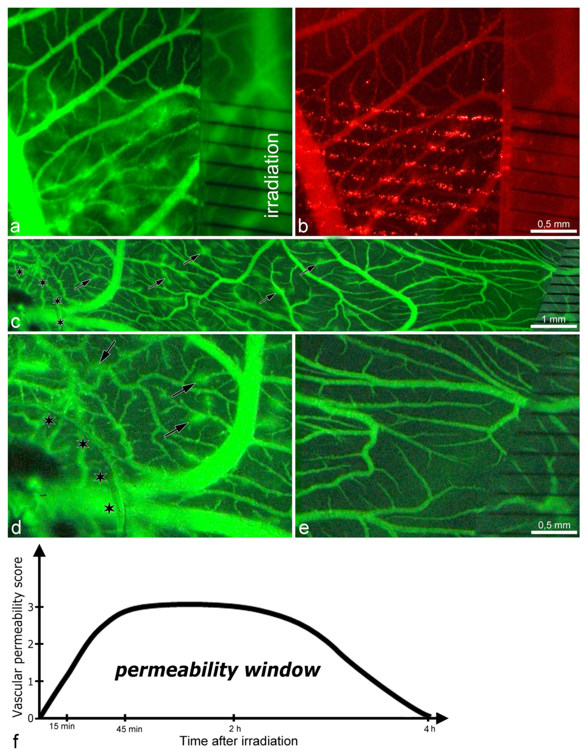 Cancers 13 02103 g001 Cancers 13 02103 g001