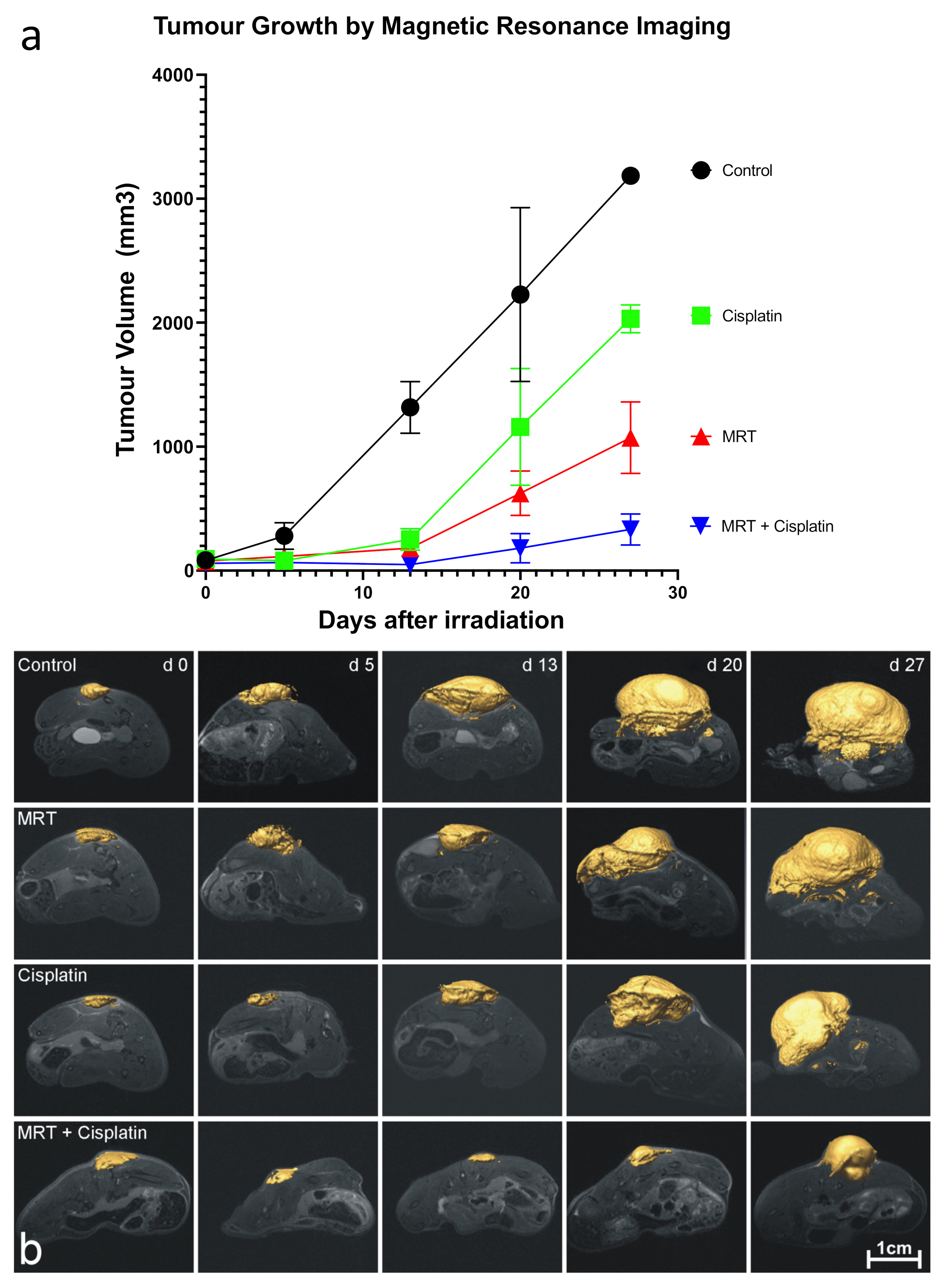 Cancers 13 02103 g005 Cancers 13 02103 g005