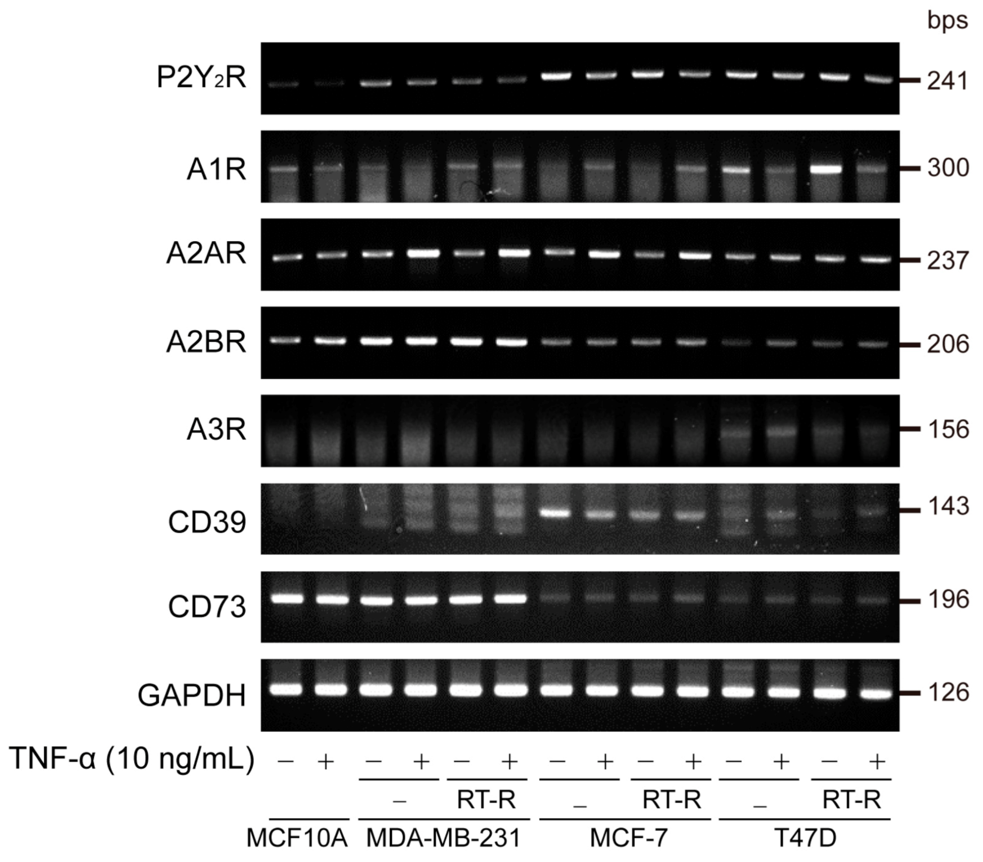 Cancers 13 02105 g001