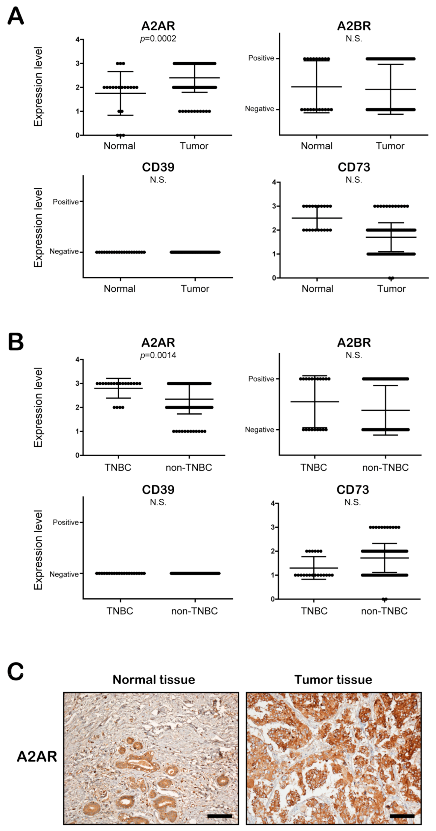 Cancers 13 02105 g003