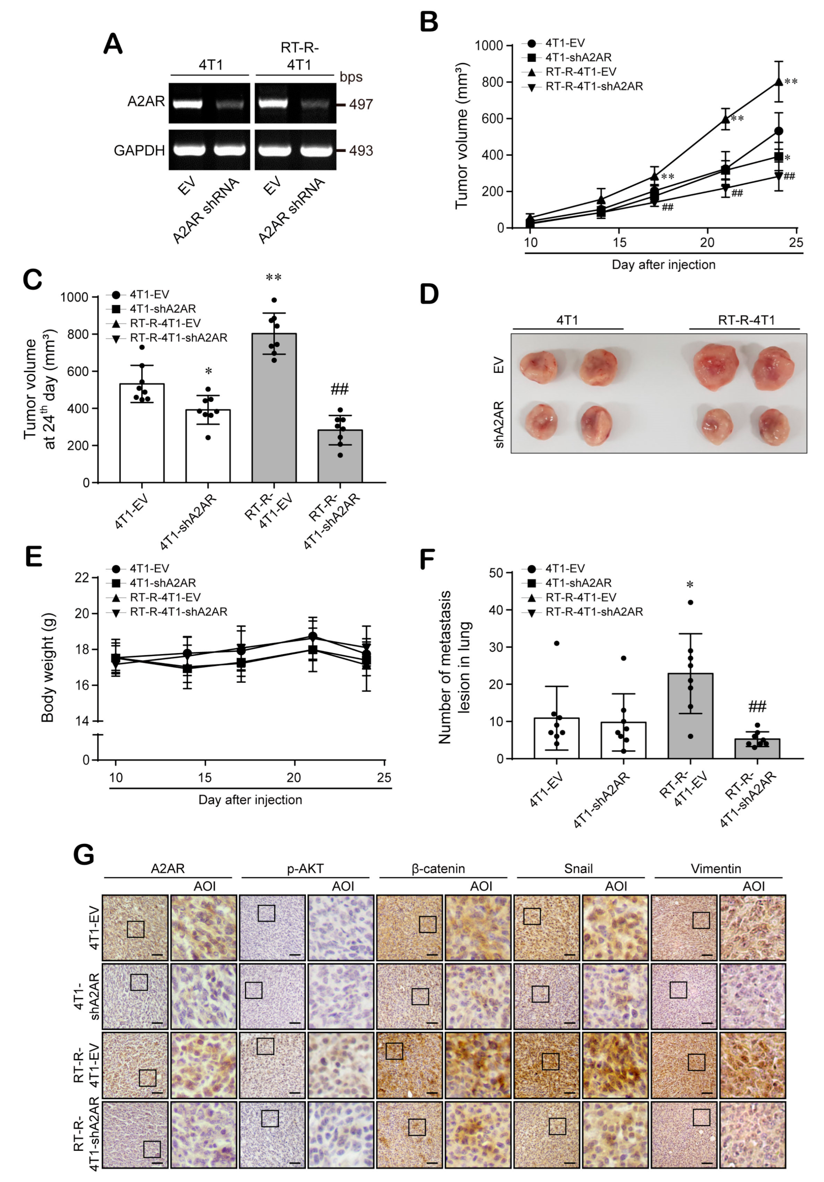 Cancers 13 02105 g006