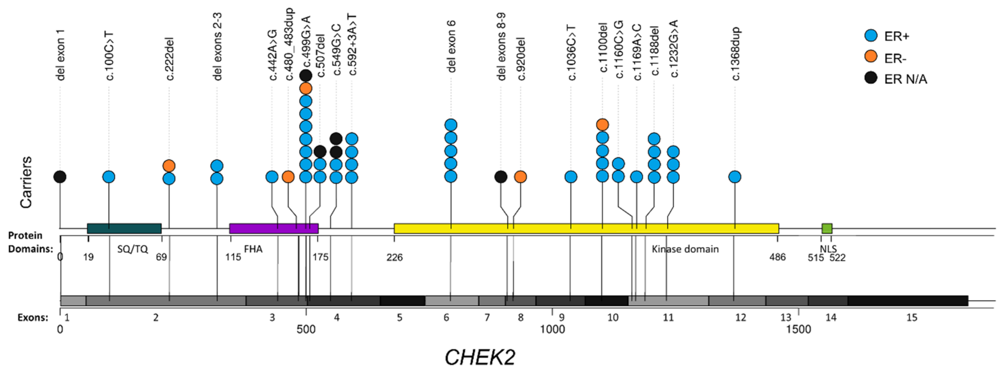 Cancers 13 02106 g001