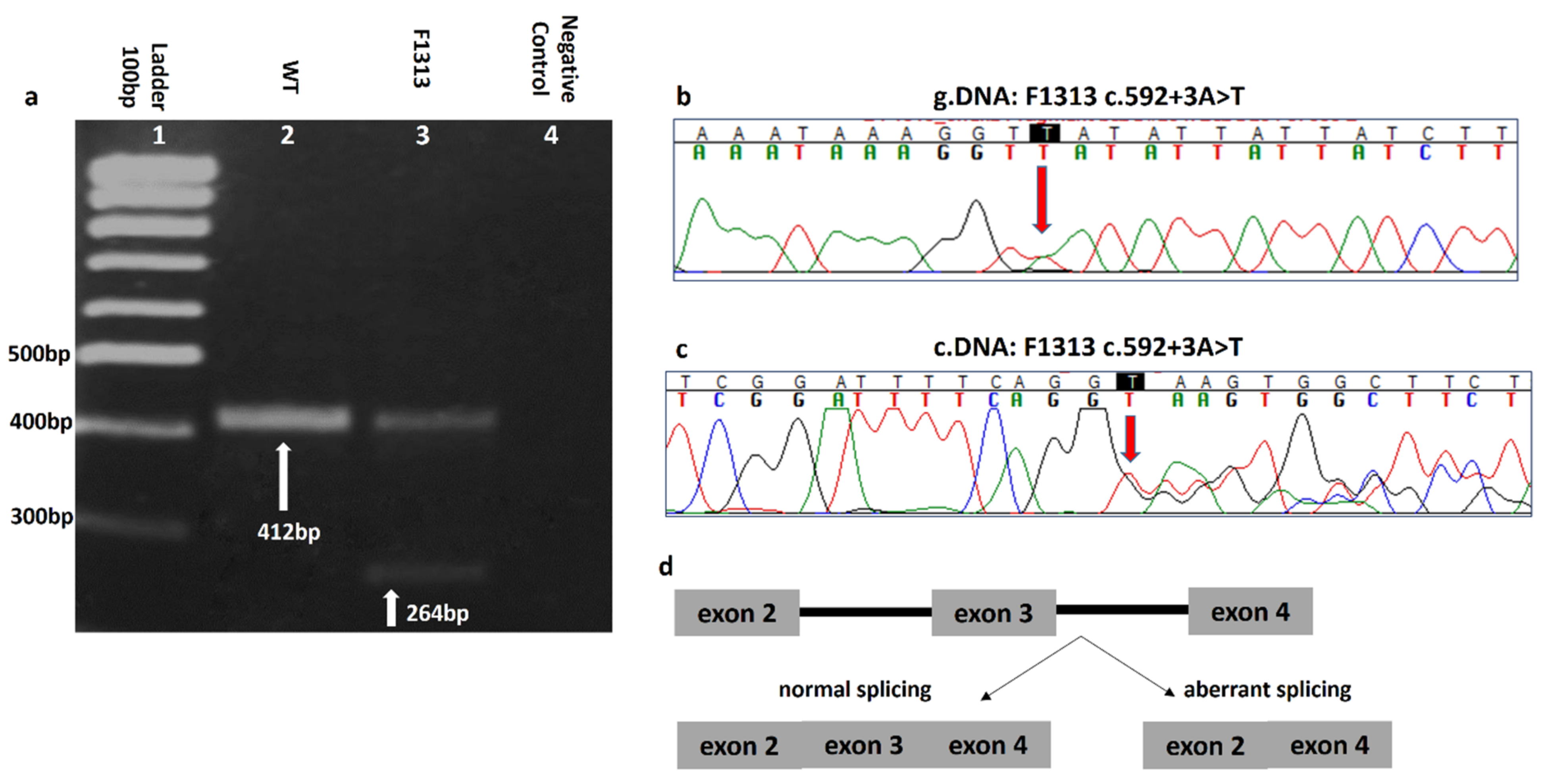 Cancers 13 02106 g002