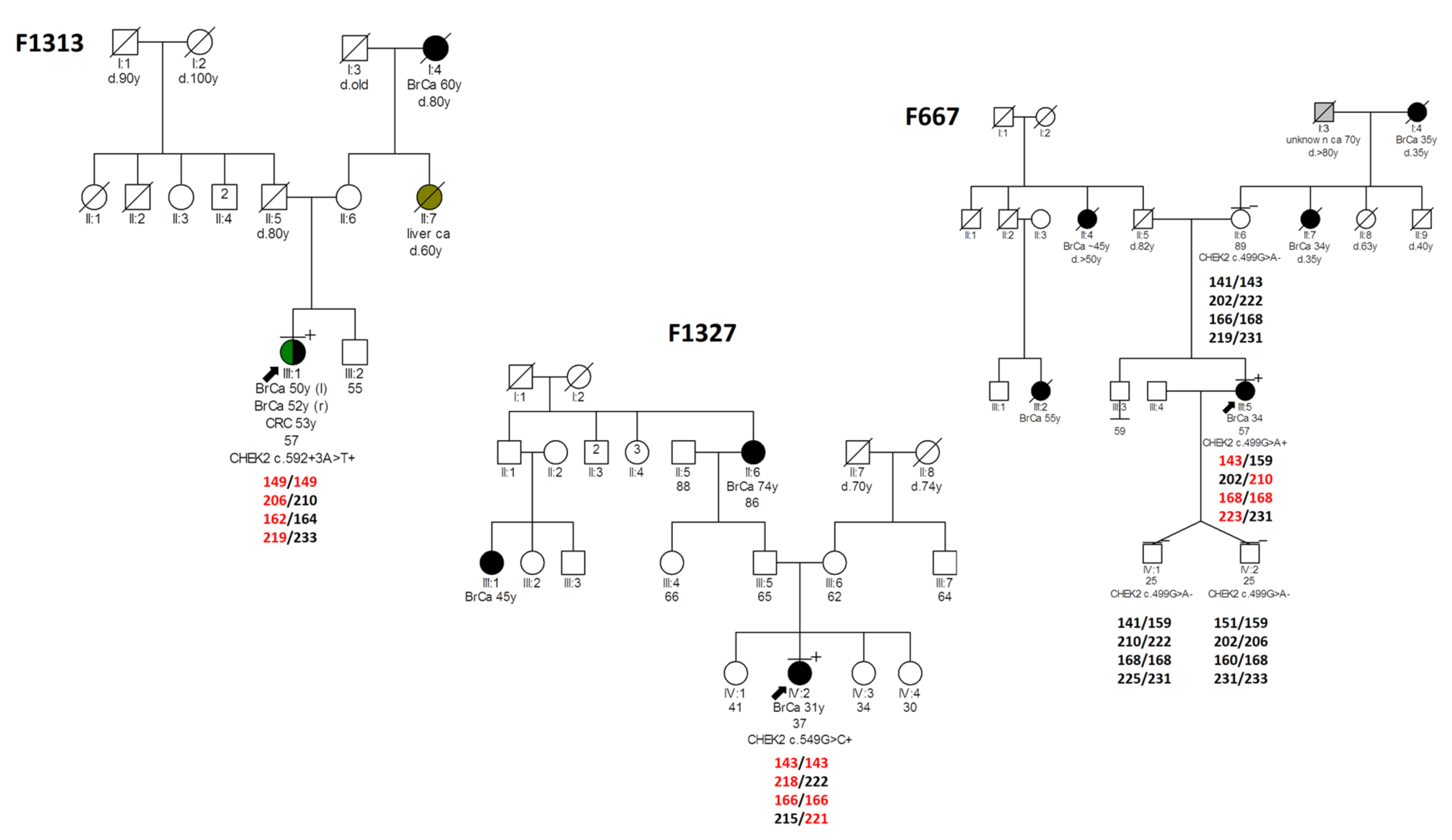 Cancers 13 02106 g004