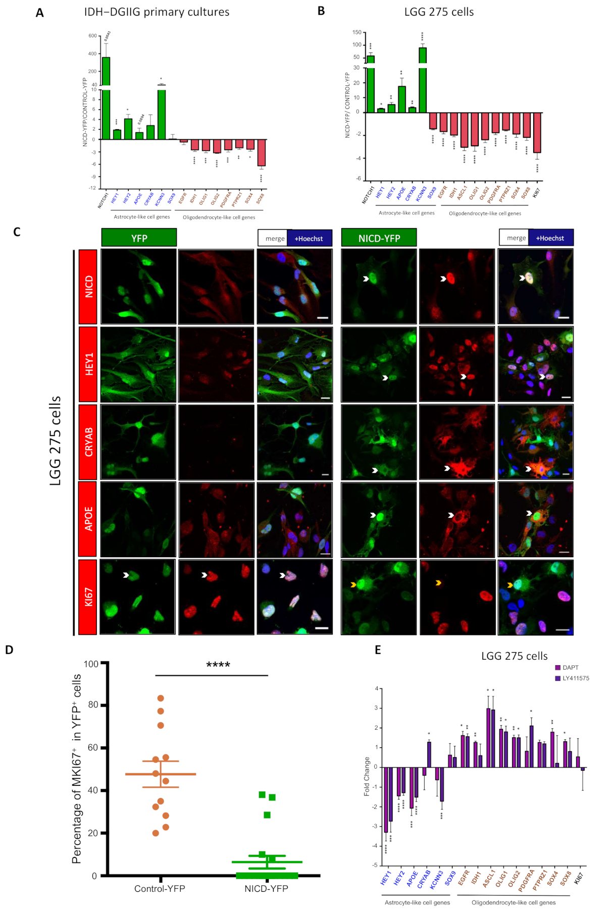 Cancers 13 02107 g005