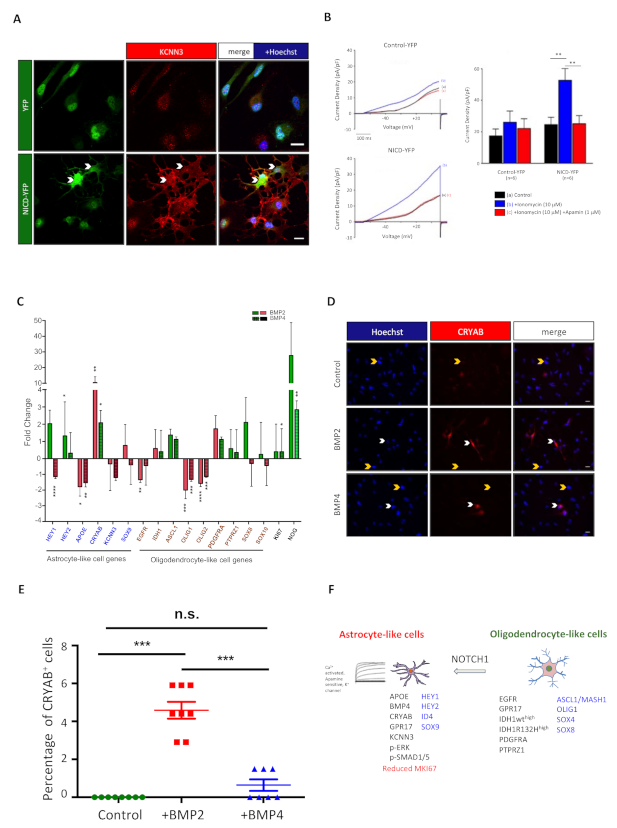 Cancers 13 02107 g006