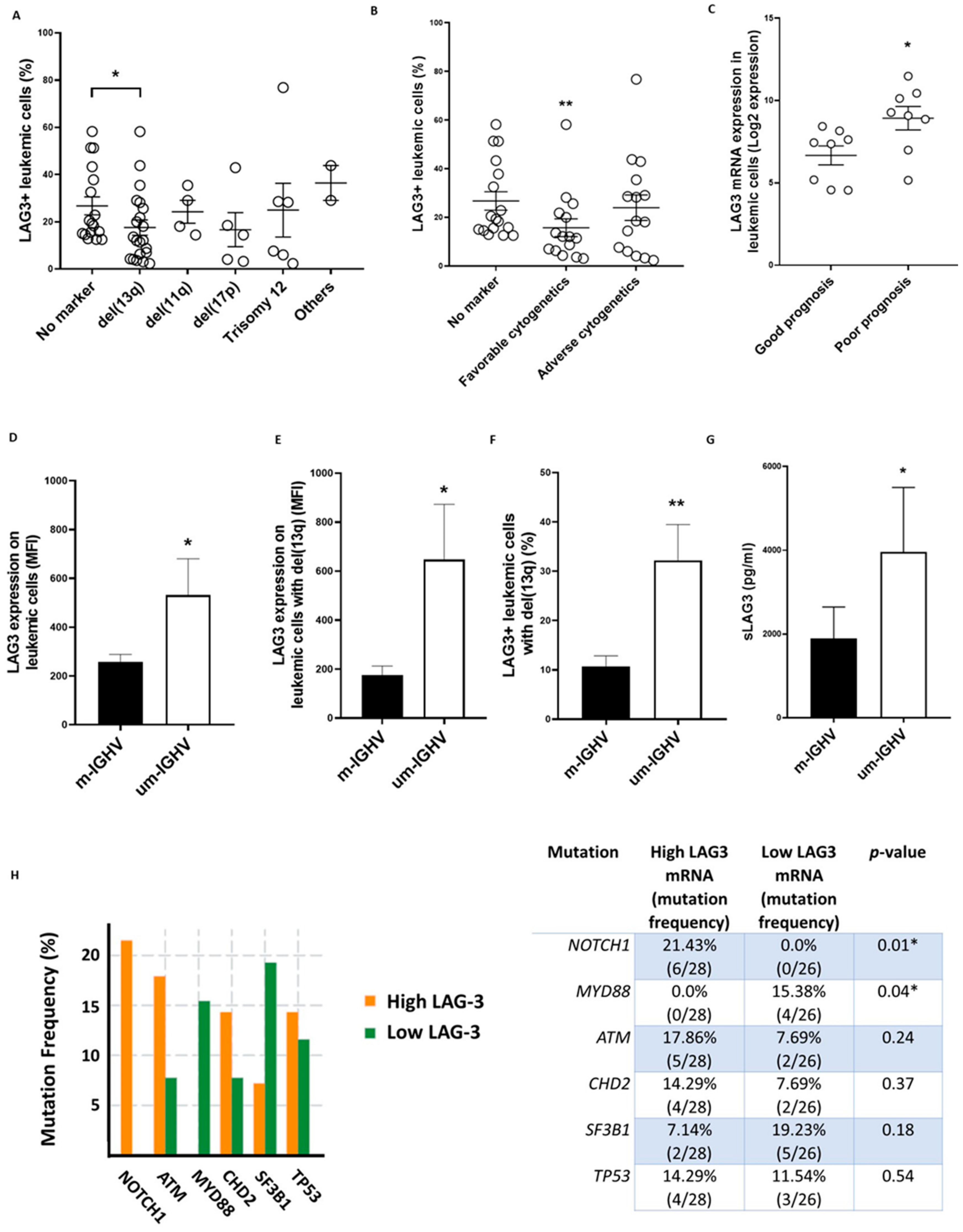 Cancers 13 02112 g002 Cancers 13 02112 g002