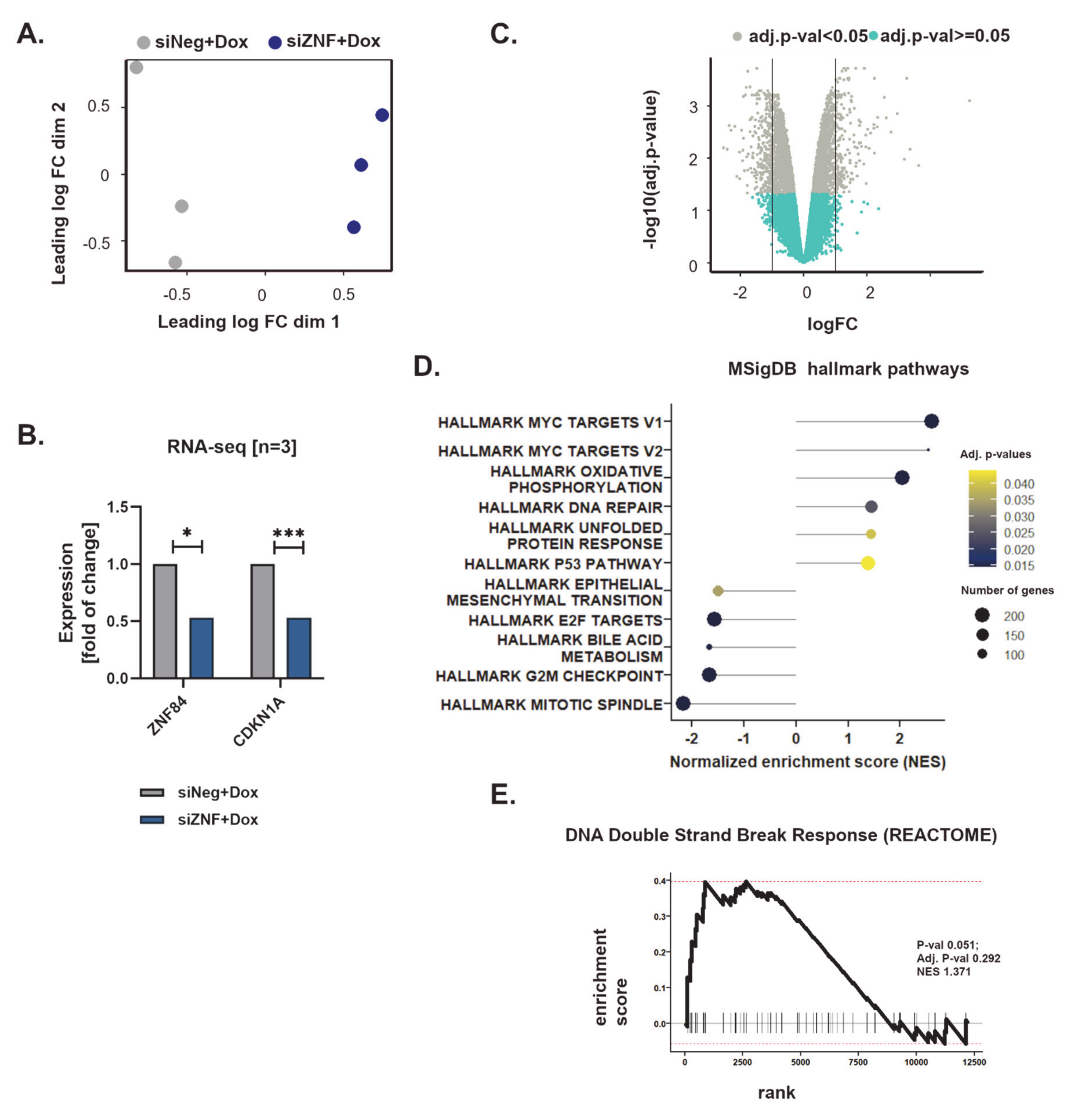Cancers 13 02115 g003